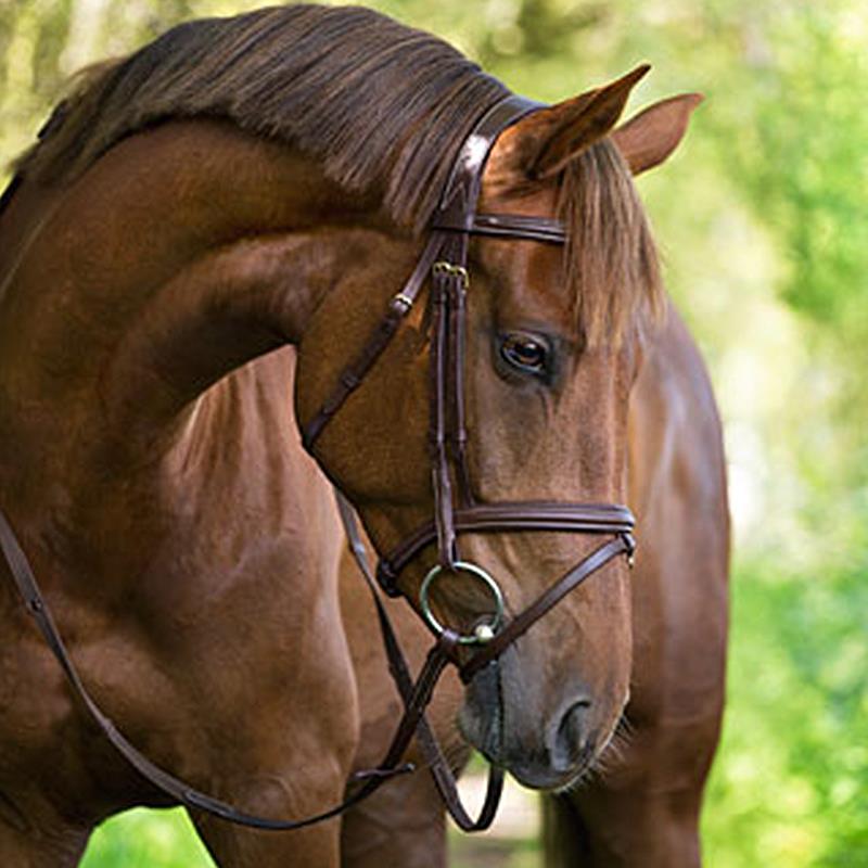 Kerbl Briglia con chiudibocca Classic in pelle Pony