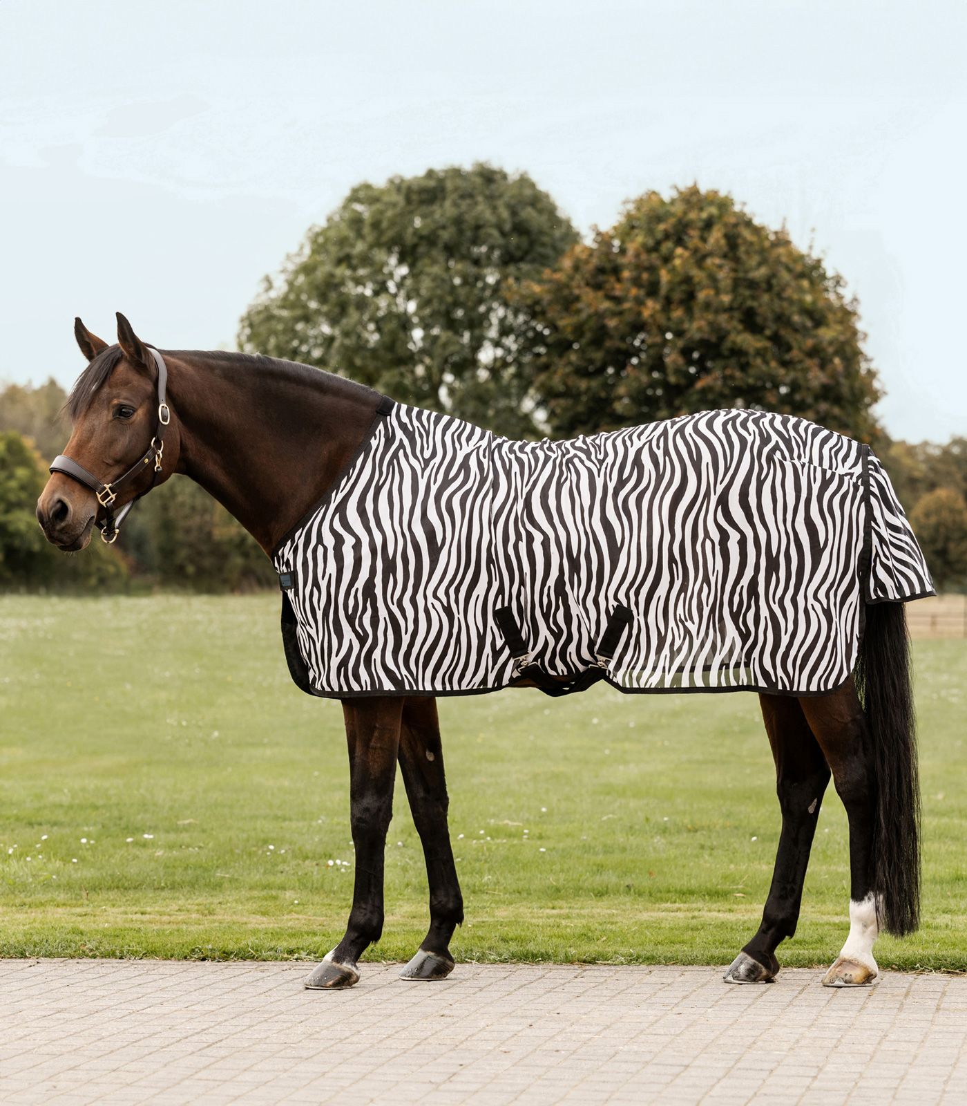 Waldhausen Coperta anti-mosche Zebra con pettorali incrociati, 125 cm