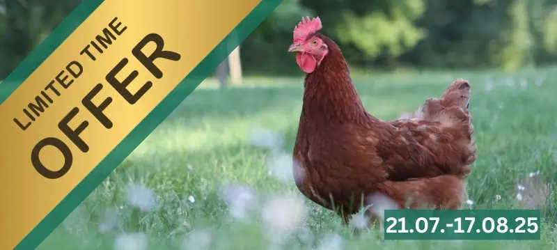 Benessere gallina - Promozioni della settimana
