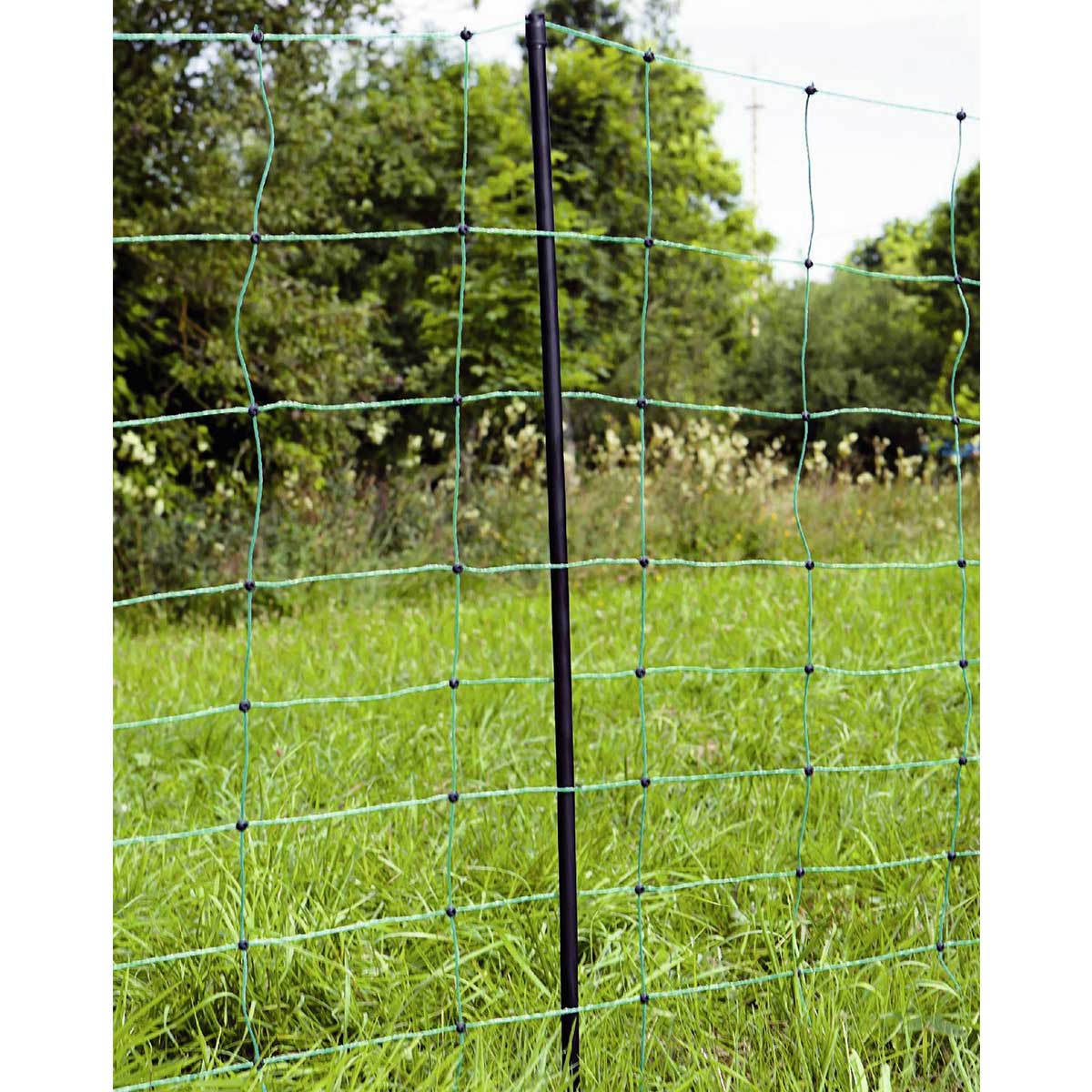 Agrarzone Rete per pecore elettrificabile Classic, doppia punta, verde 50 m x 108 cm