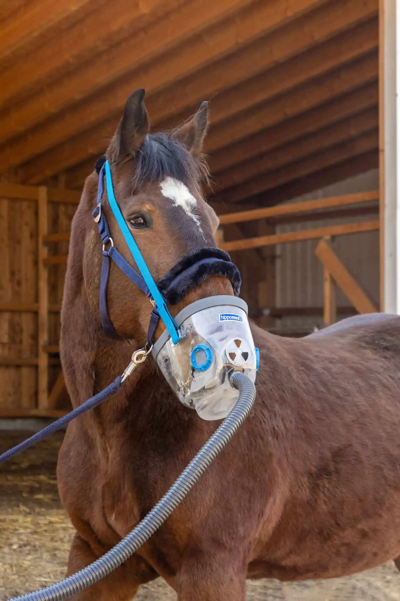 Hippomed Inalatore a ultrasuoni per cavalli AirOne senza mascherina