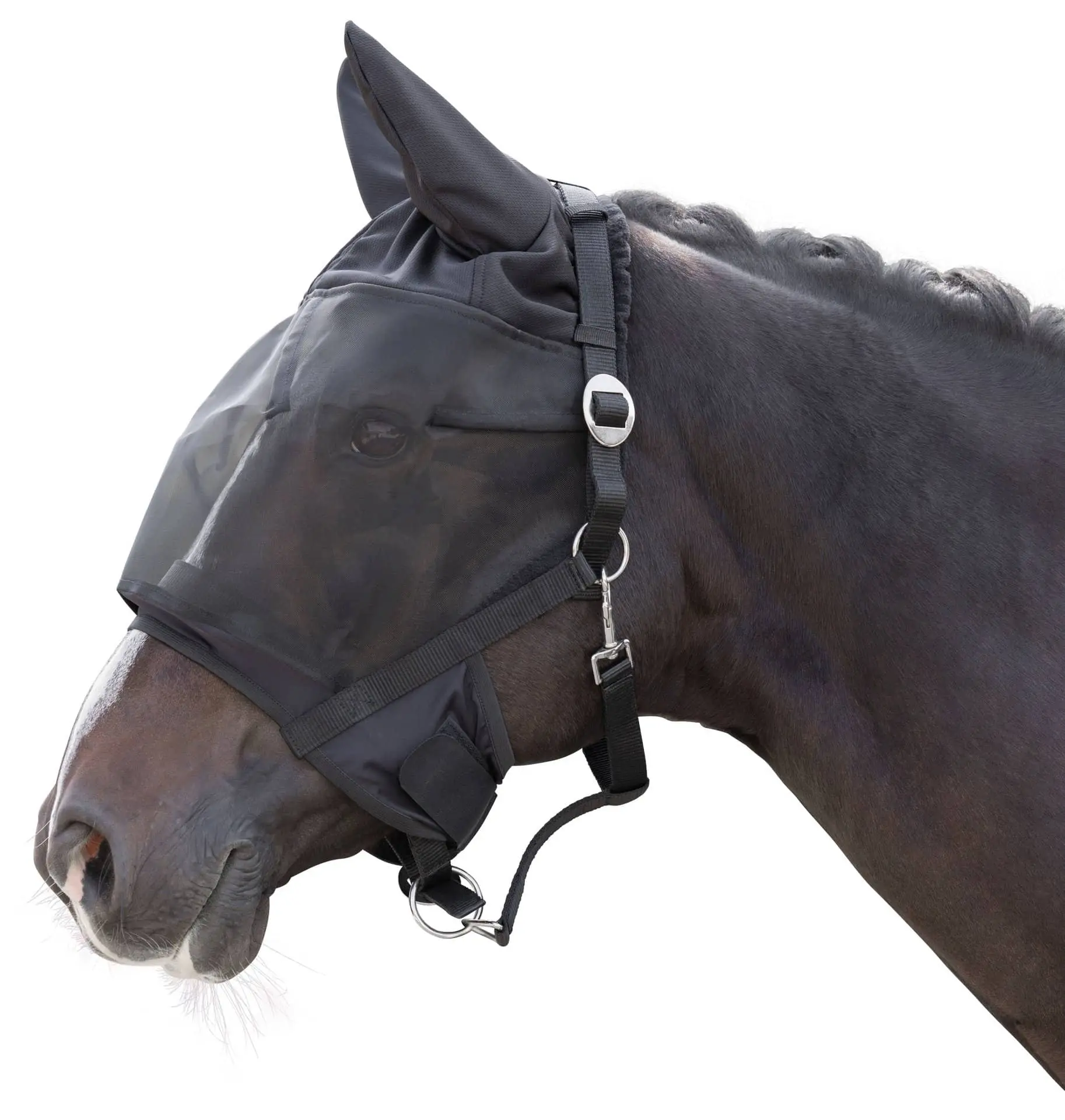 Halter with Integr. Fly Protection Mask, Pony