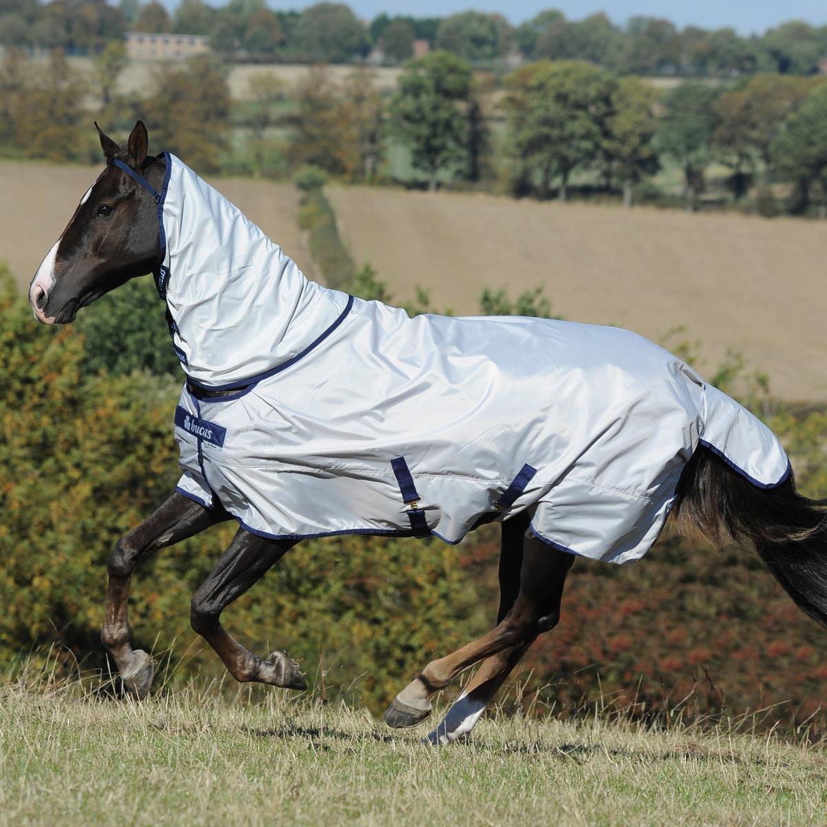 Bucas coperta cavallo Sun-Shower 115