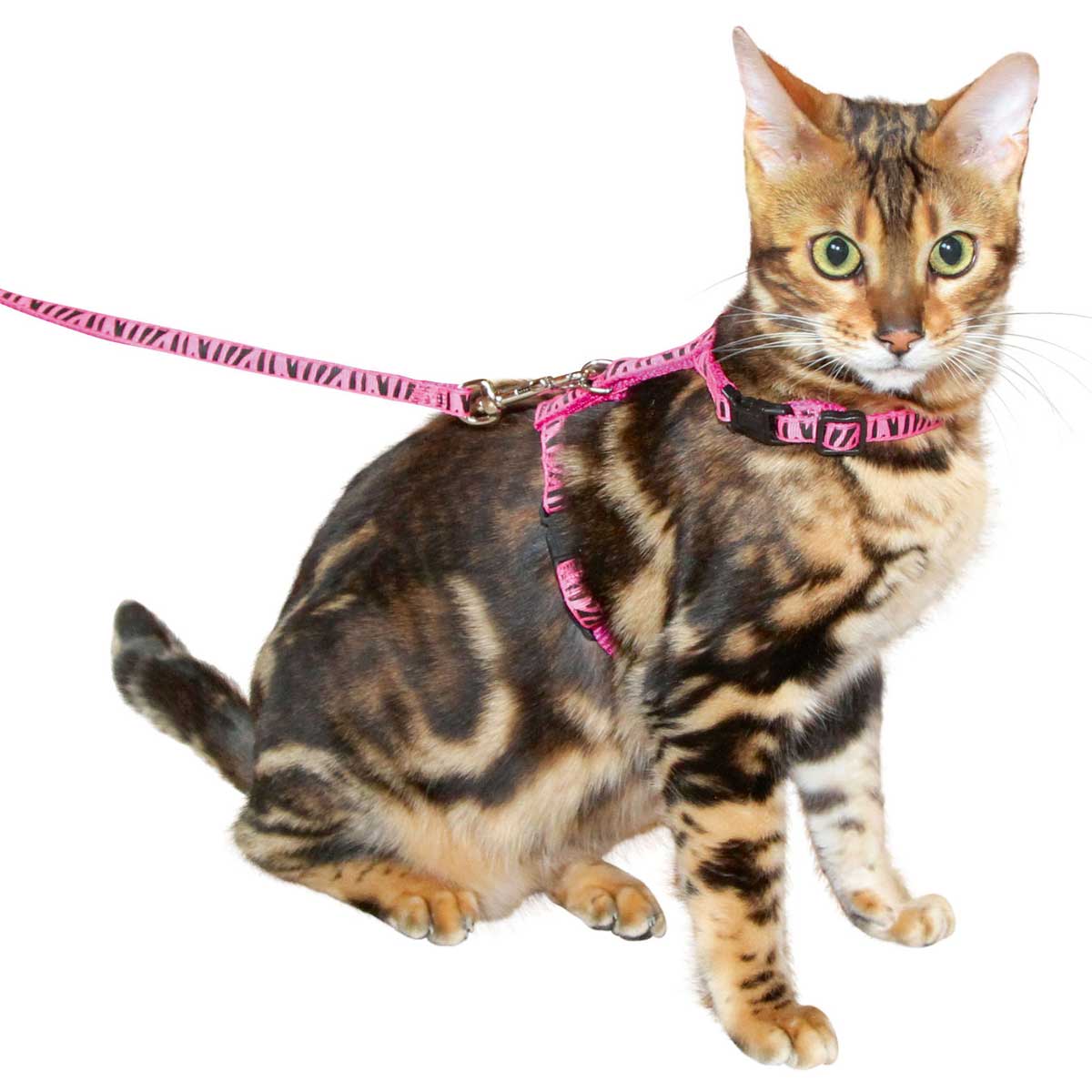 Kerbl Pettorina per gatti con guinzaglio 120 cm x 10 mm, rosa