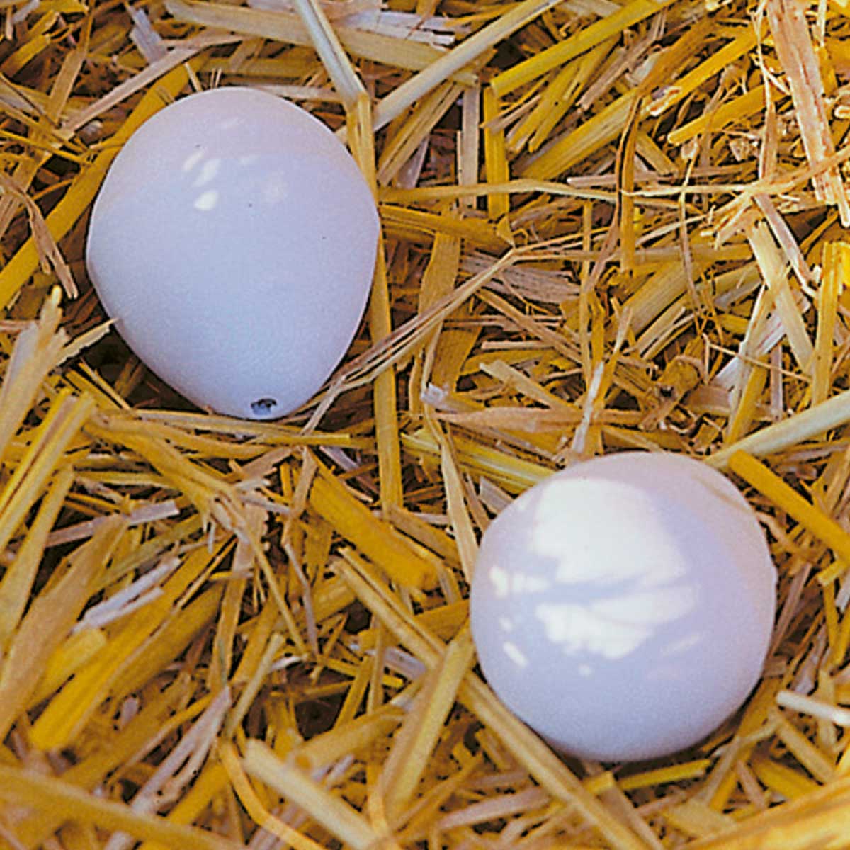 Uova finte per galline (2 pz.)
