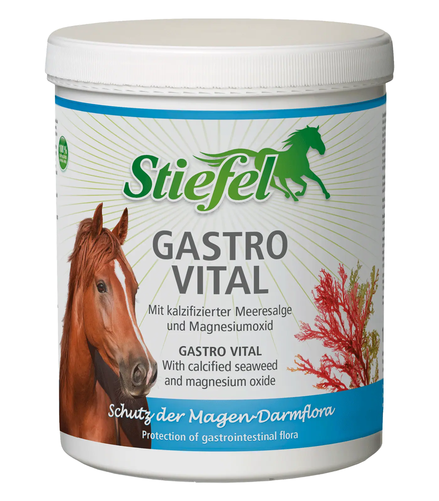 Stiefel Gastro Vital 1kg