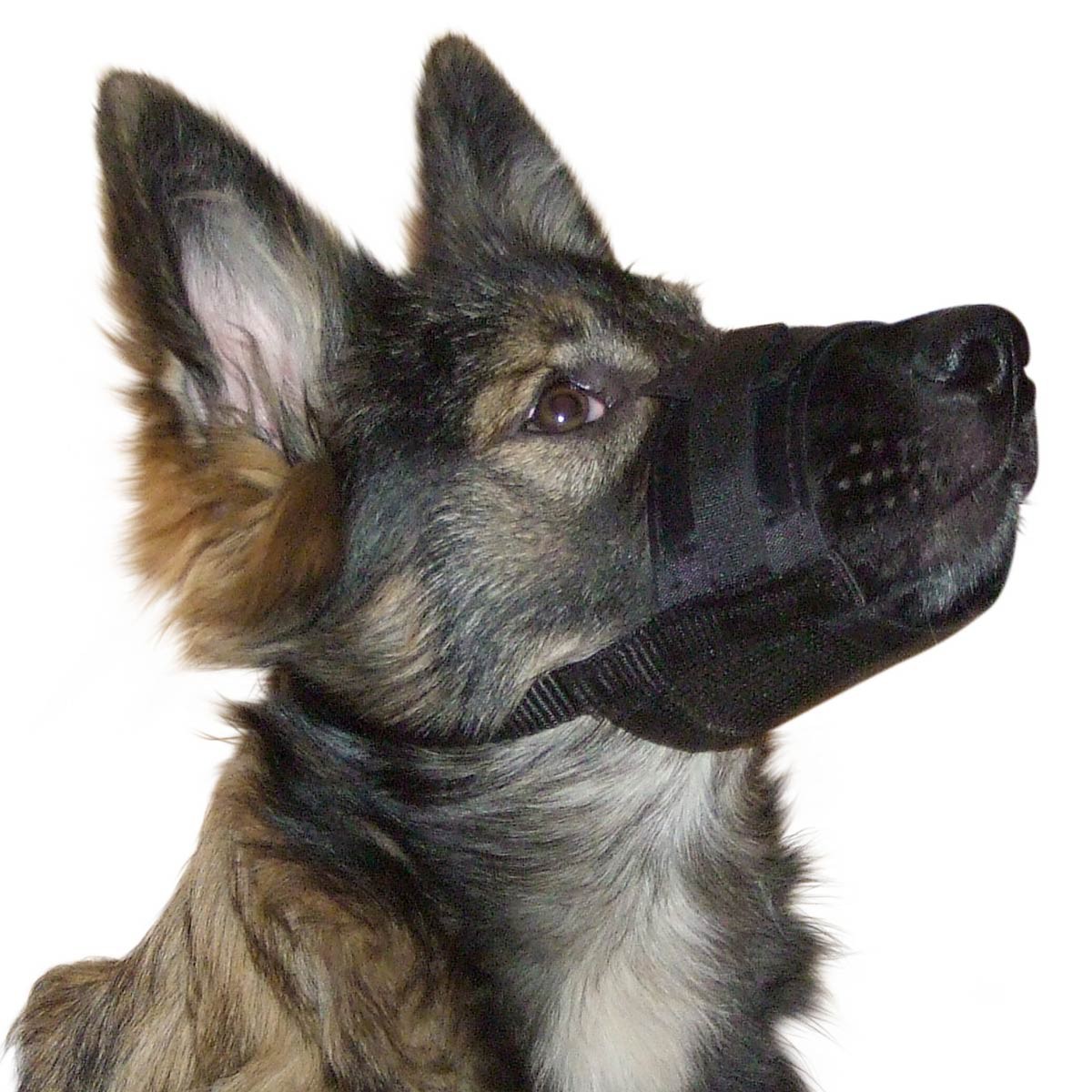 Kerbl Museruola per cani in nylon 20-26 cm