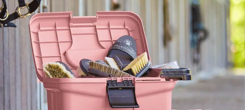 Cura e salute del cavallo Cura e salute del cavallo