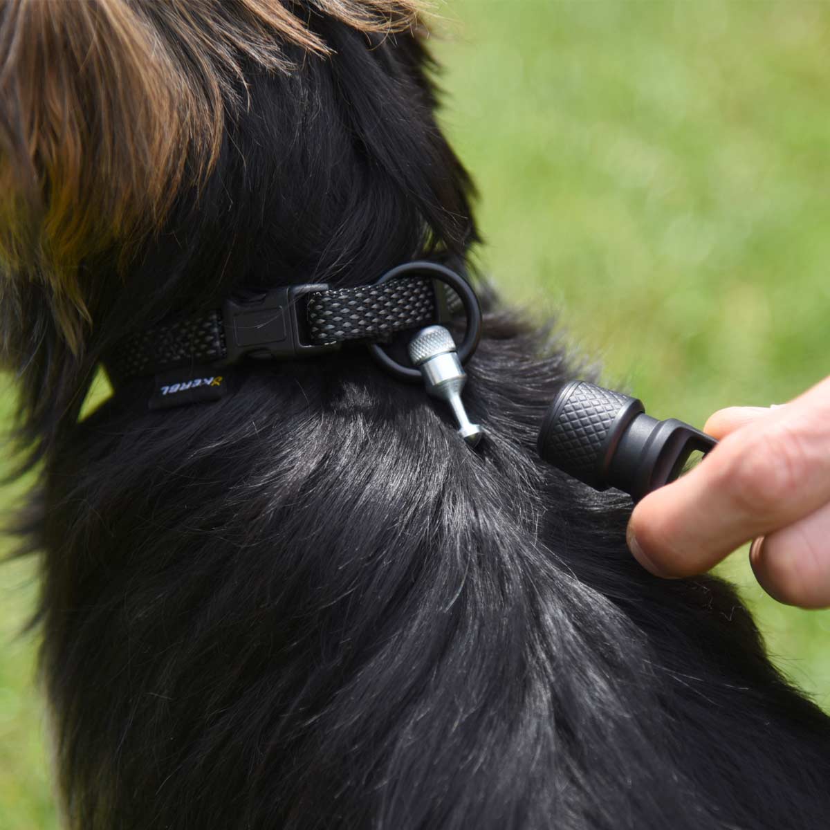 GoLeyGo 2.0 Set di collari per cani al guinzaglio s - circonferenza del collo 29 - 45 cm nero