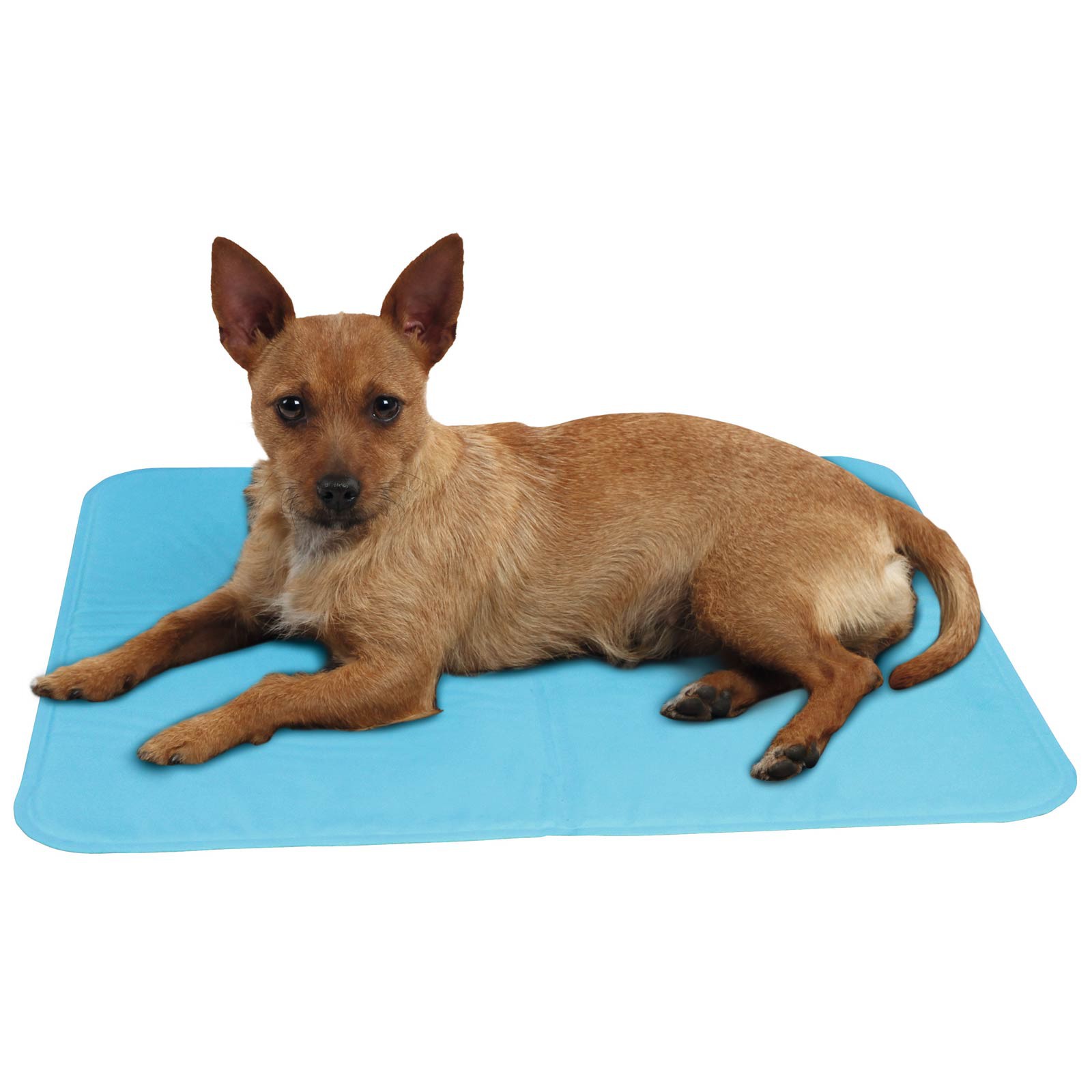 Kerbl Tappetino di raffreddamento per cani cool relax Pro 50 x 40 cm