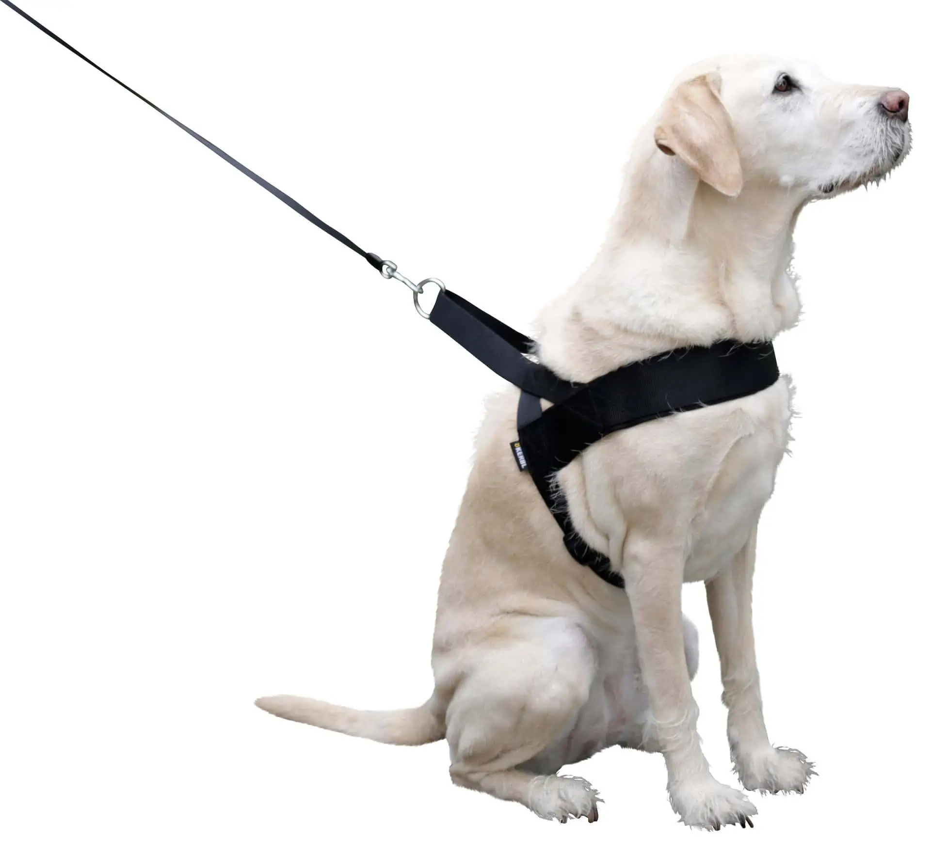 MIAMI PLUS dog harness Grith 60-75cm