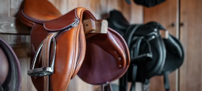 Selle da cavallo e accessori Selle da cavallo e accessori