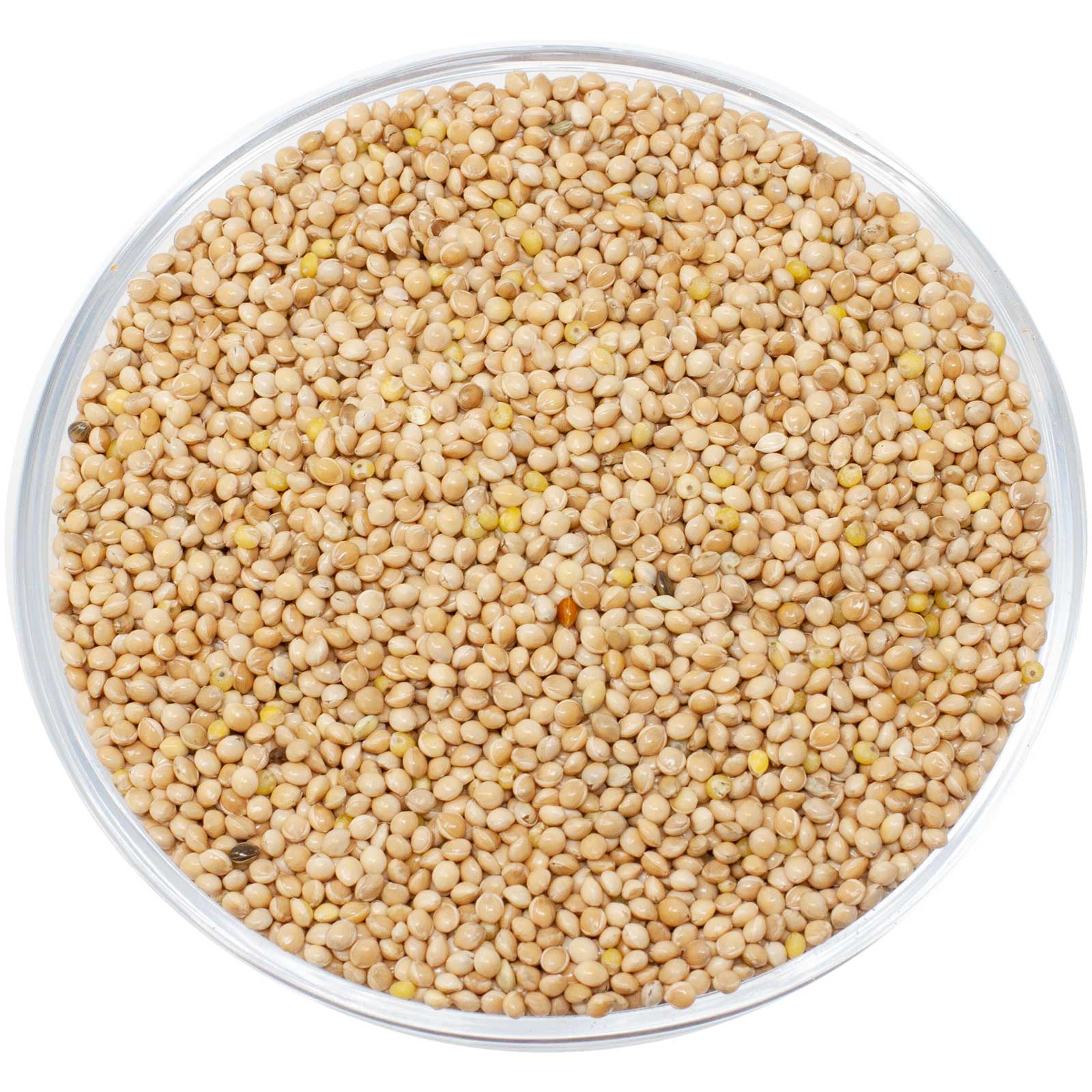 Leimüller Miglio giallo 5 Kg