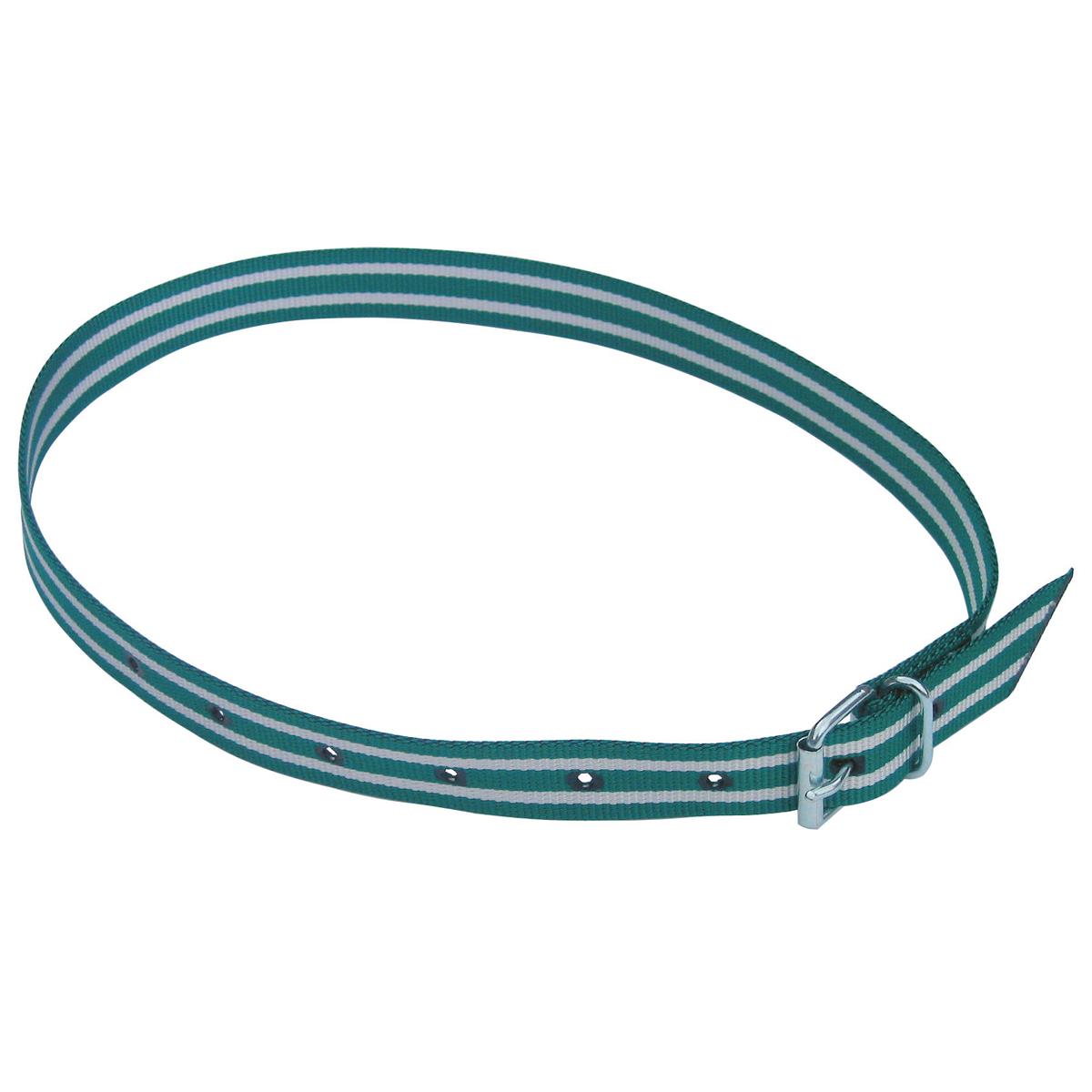 Collare marcabile per bovini Collare marcabile per bovini