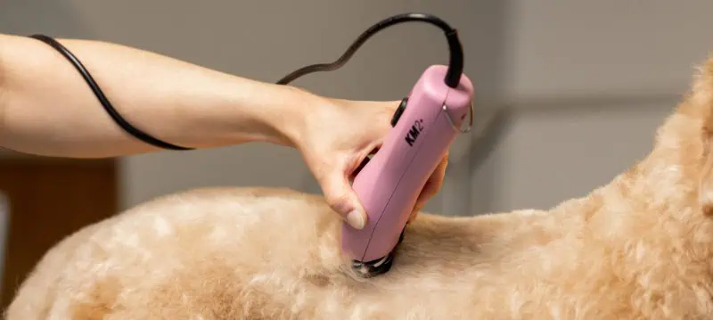 Tosatrici per cani con cavo