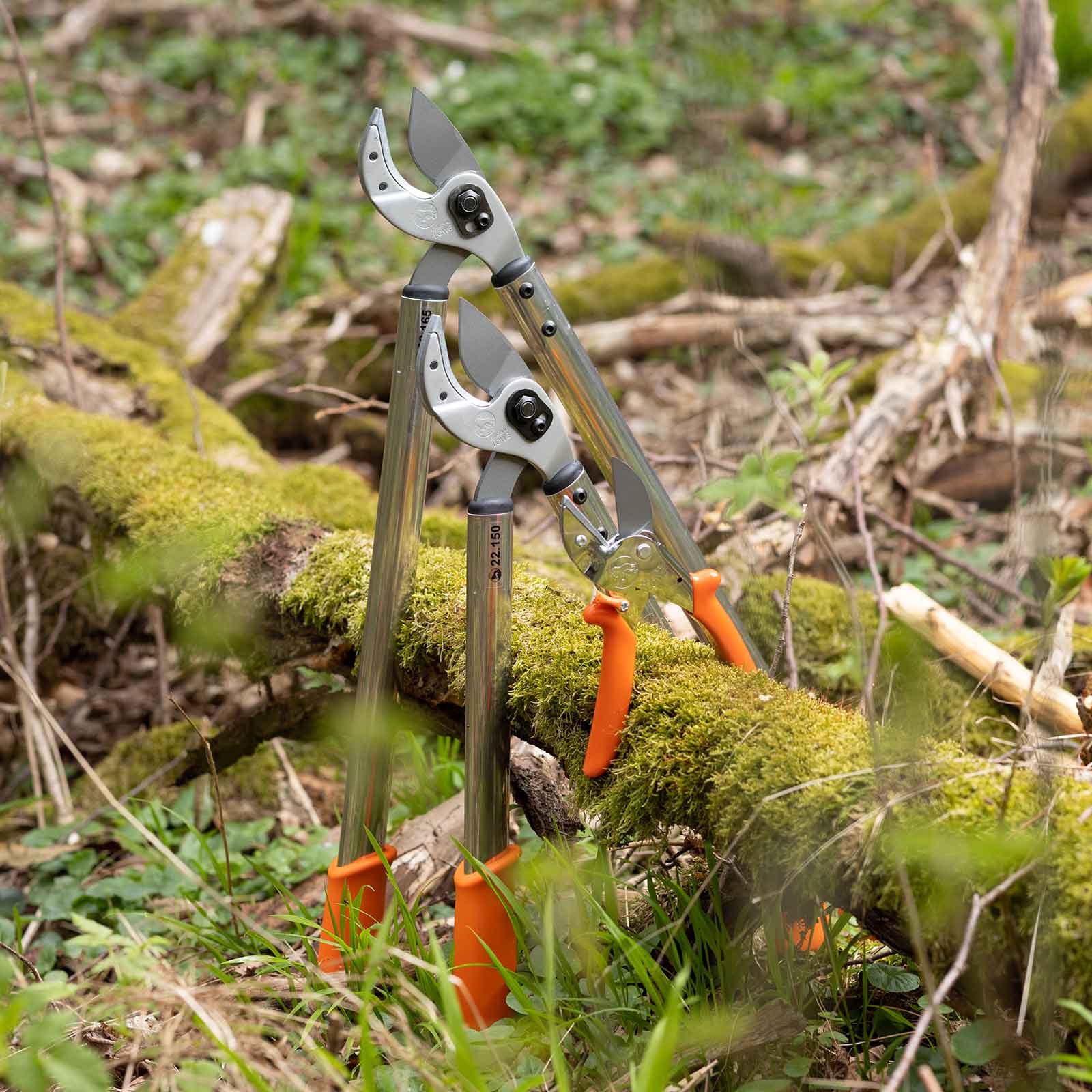 Löwe Forbici da caccia taglia ossa 65 cm