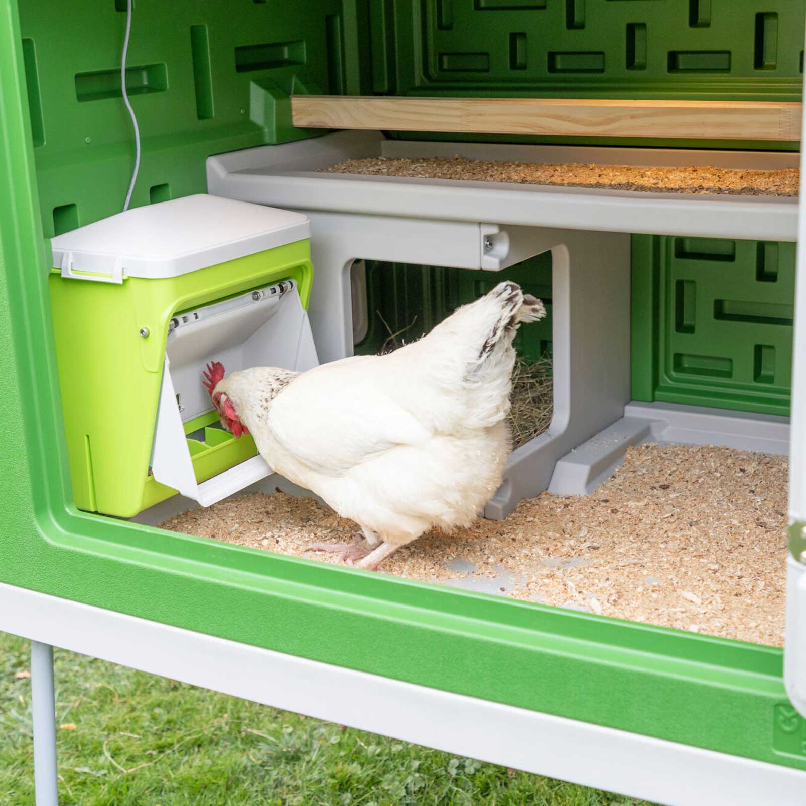 Mangiatoia automatica per galline SmartCoop 7,5 kg