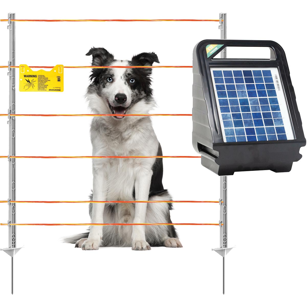 Agrarzone kit recinto per cani fotovoltaico S25 12V, 0,4j, filo elettrico 500 m, giallo/arancione