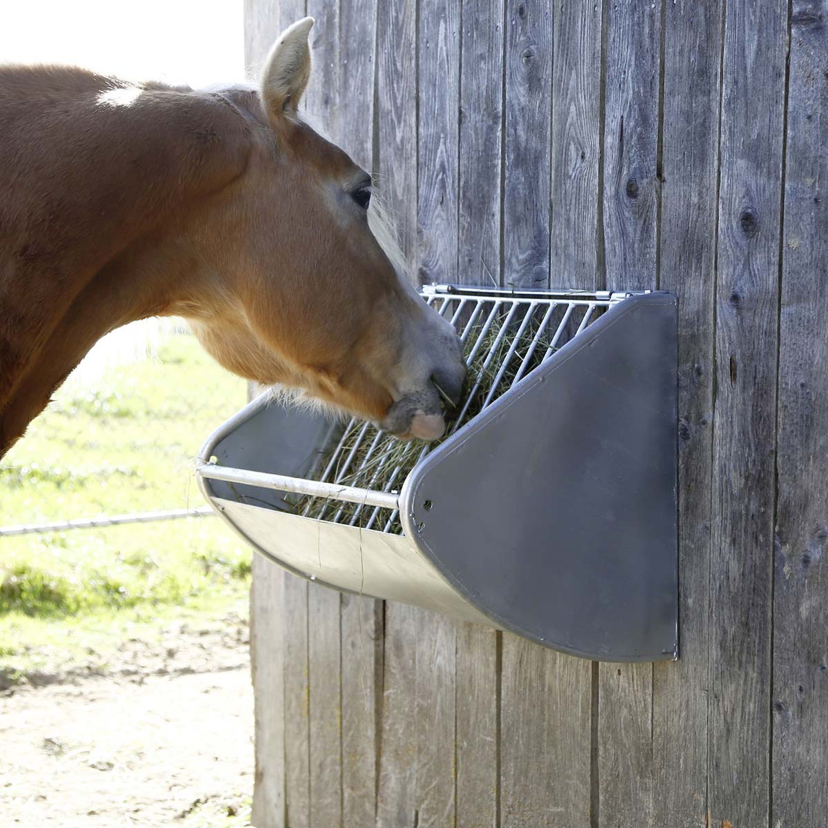 Mangiatoia a parete per cavalli con griglia salvaforaggio