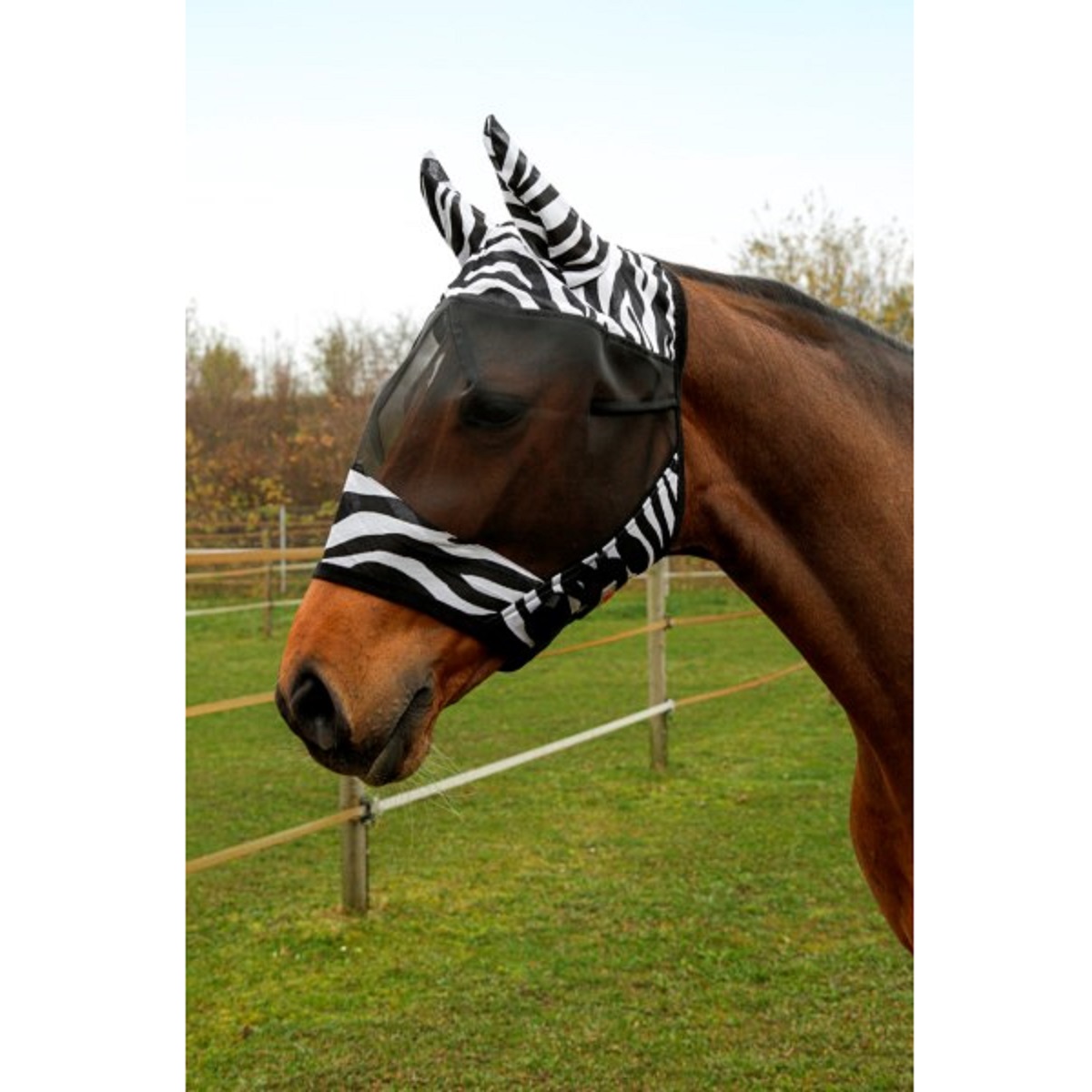Covalliero Cuffia antimosche Zebra con protezione orecchie Pony