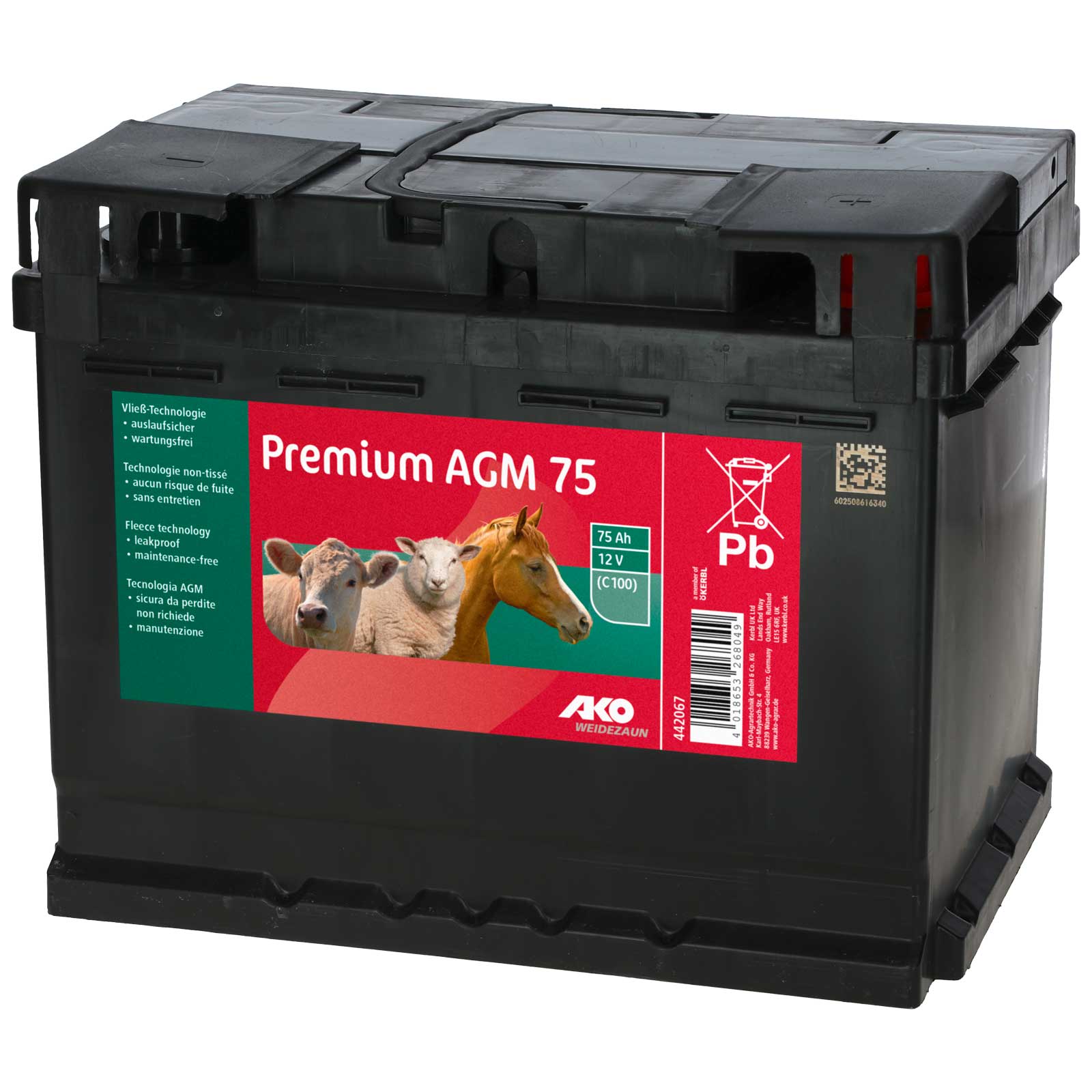 Batteria Premium AGM per recinzioni elettriche 12 v 75 Ah