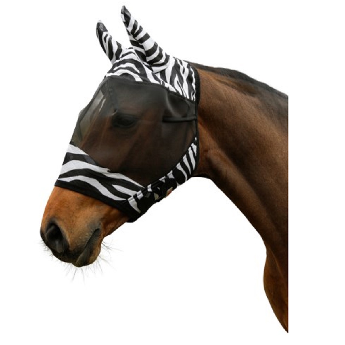 Covalliero Cuffia antimosche Zebra con protezione orecchie Pony