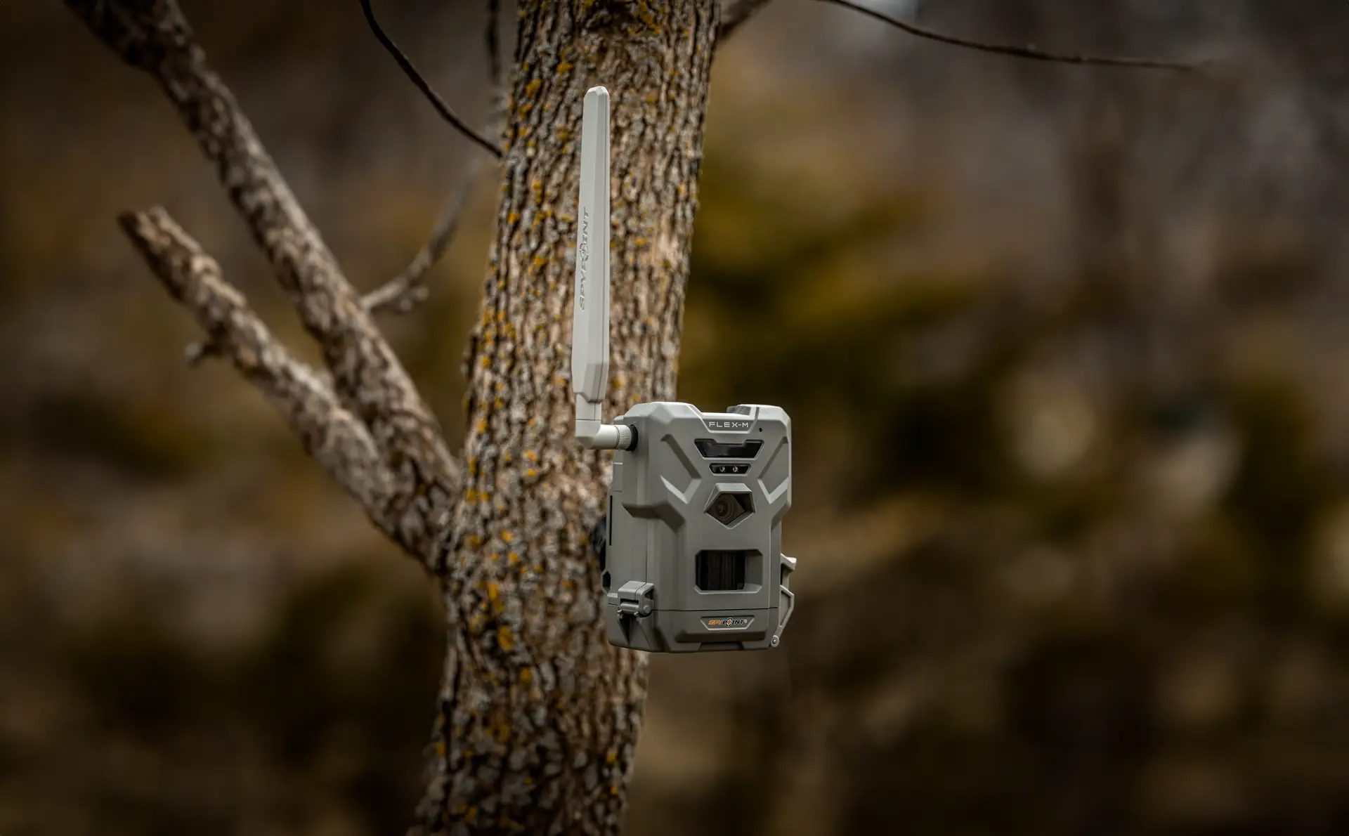 Spypoint Wild Camera FLEX-M pacco gemello