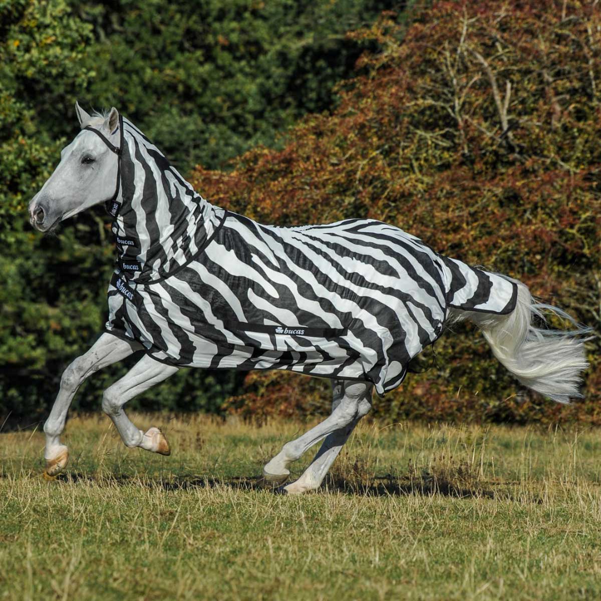 Bucas coperta cavallo antimosche Buzz-Off Zebra Full Neck