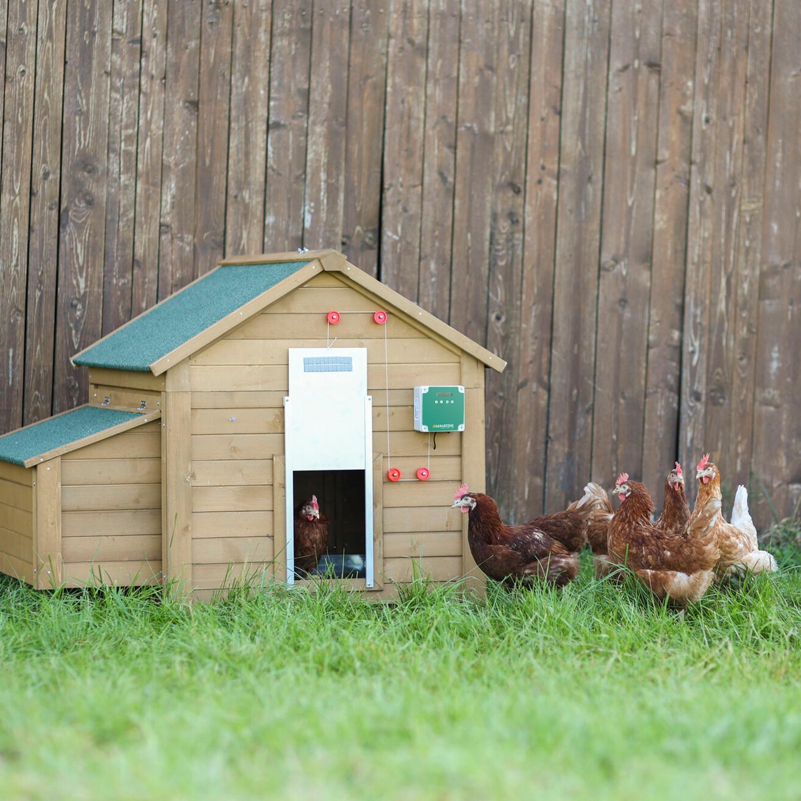 Agrarzone Porta automatica per pollaio senza sportello