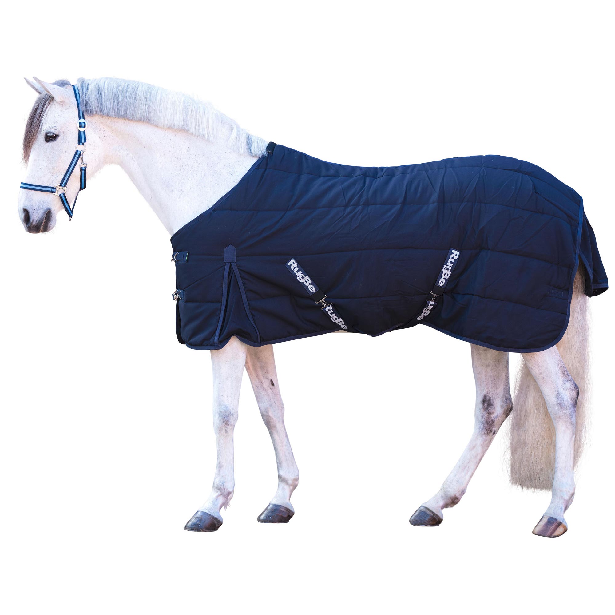 Coperta indoor per cavallo 150g