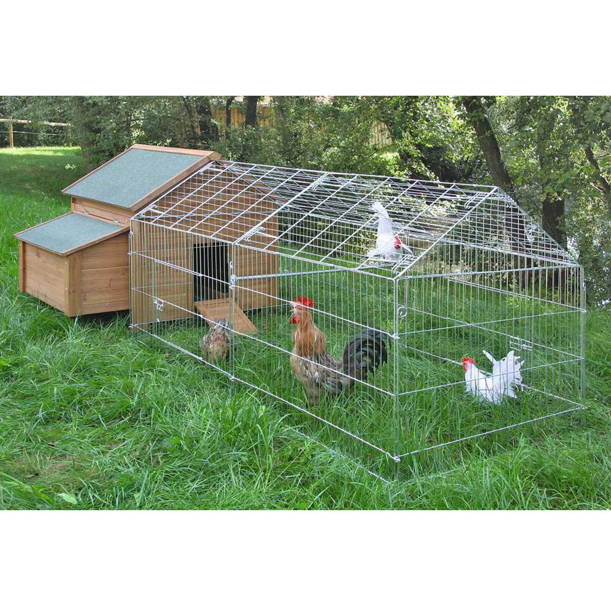 Conigliera Pollaio recinto gabbia in legno per polli galline