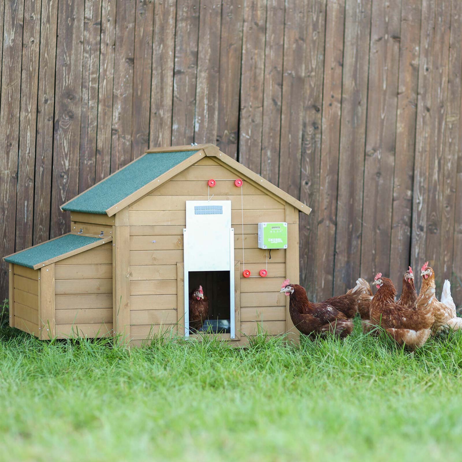Set: Apriporta automatico Poultry Kit VOSS.farming per pollaio + porta  scorrevole 430 x 400 mm