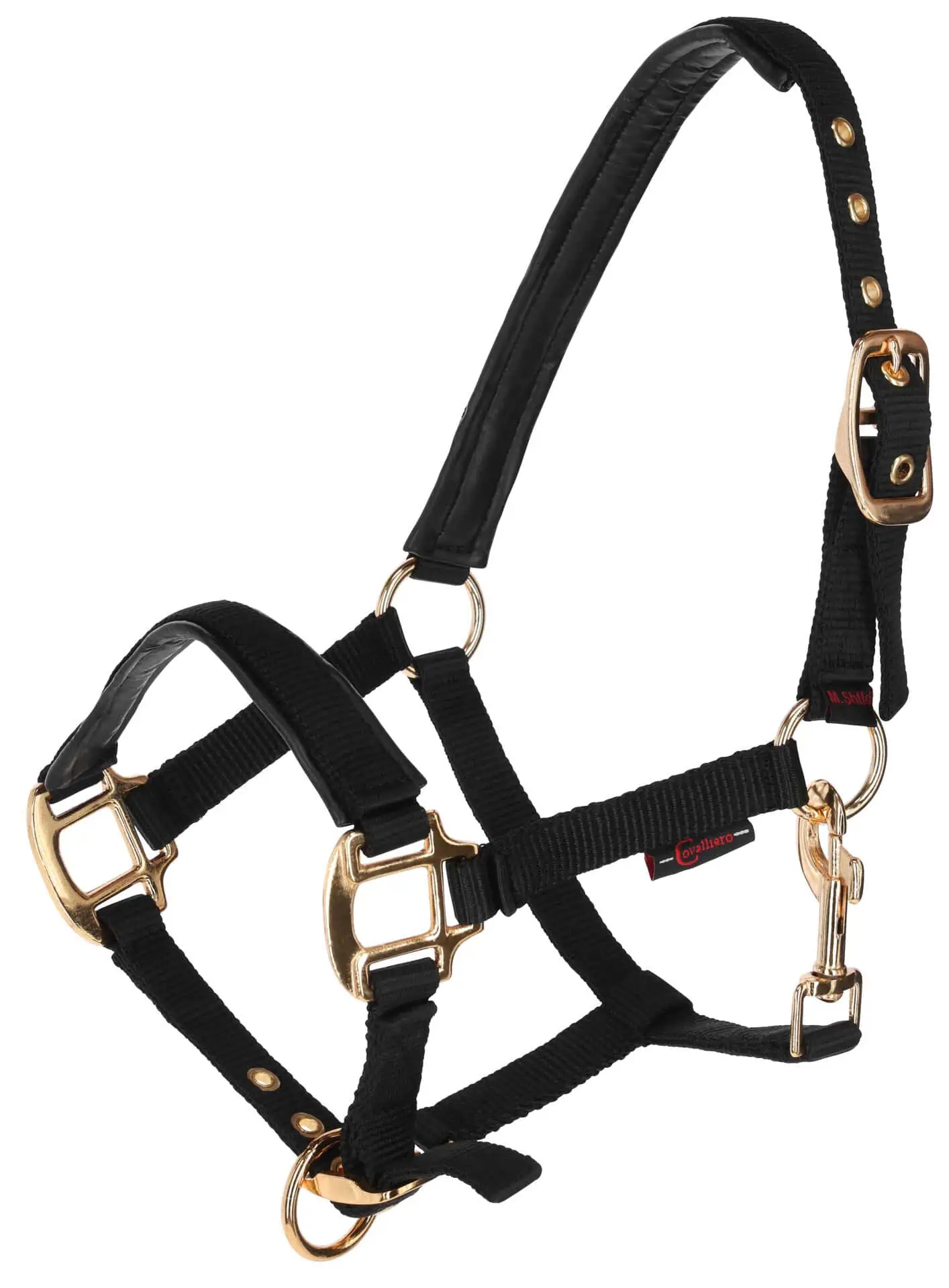 Foal Halter TopLine, black