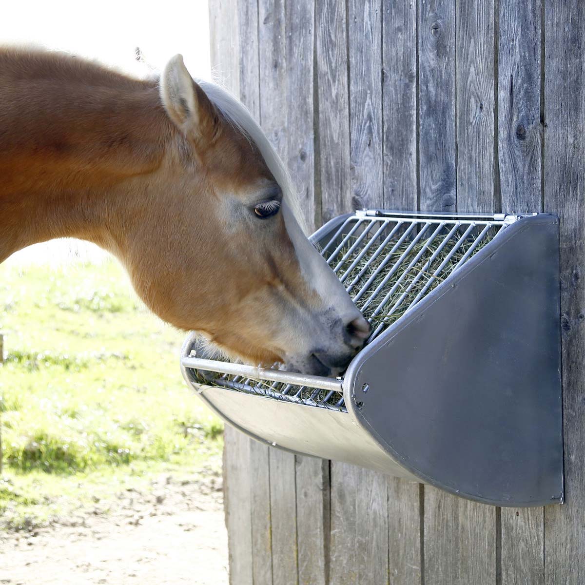 Mangiatoia a parete per cavalli con griglia salvaforaggio