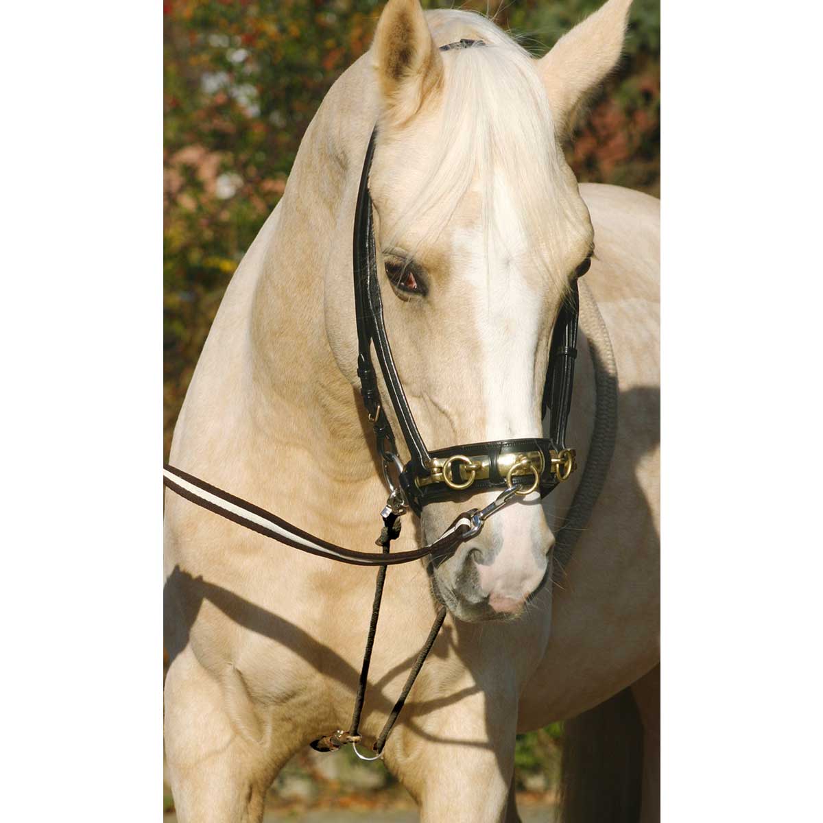 Collare Imbottito Per Cavalli - Nylon Regolabile Con Stampa Cavallo Per Pony E Asini - Foto 11