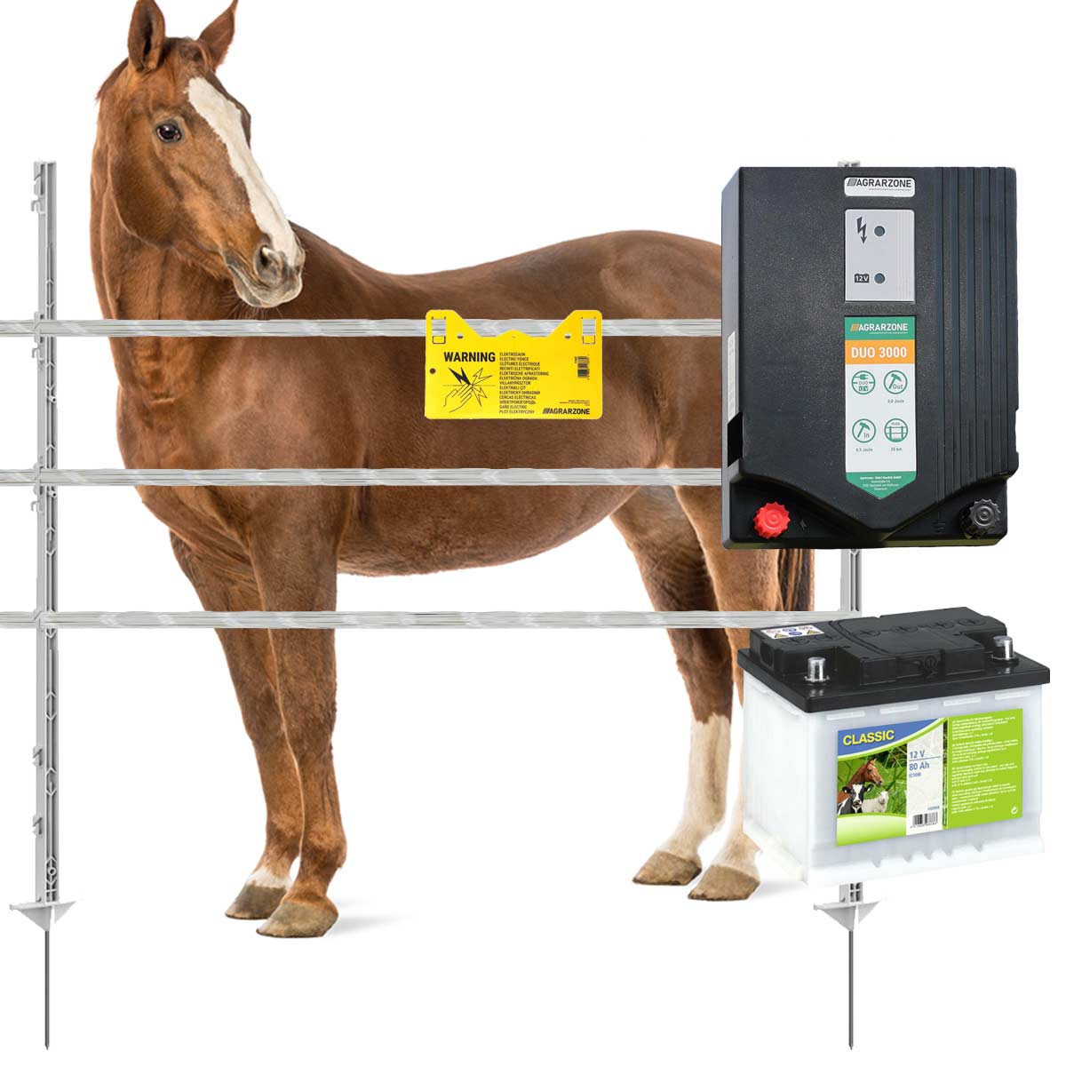 Agrarzone kit recinto elettrico per cavalli DUO 3000 a batteria 12V / 230 V, 4,5J, nastro 1200m
