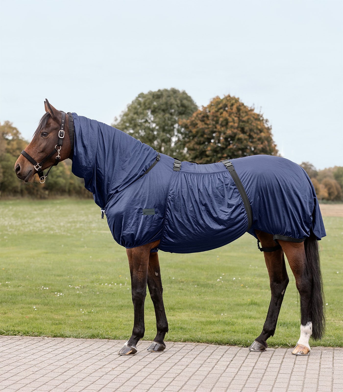 Waldhausen Coperta per cavallo anti-eczema Basic, 115 cm, blu notte