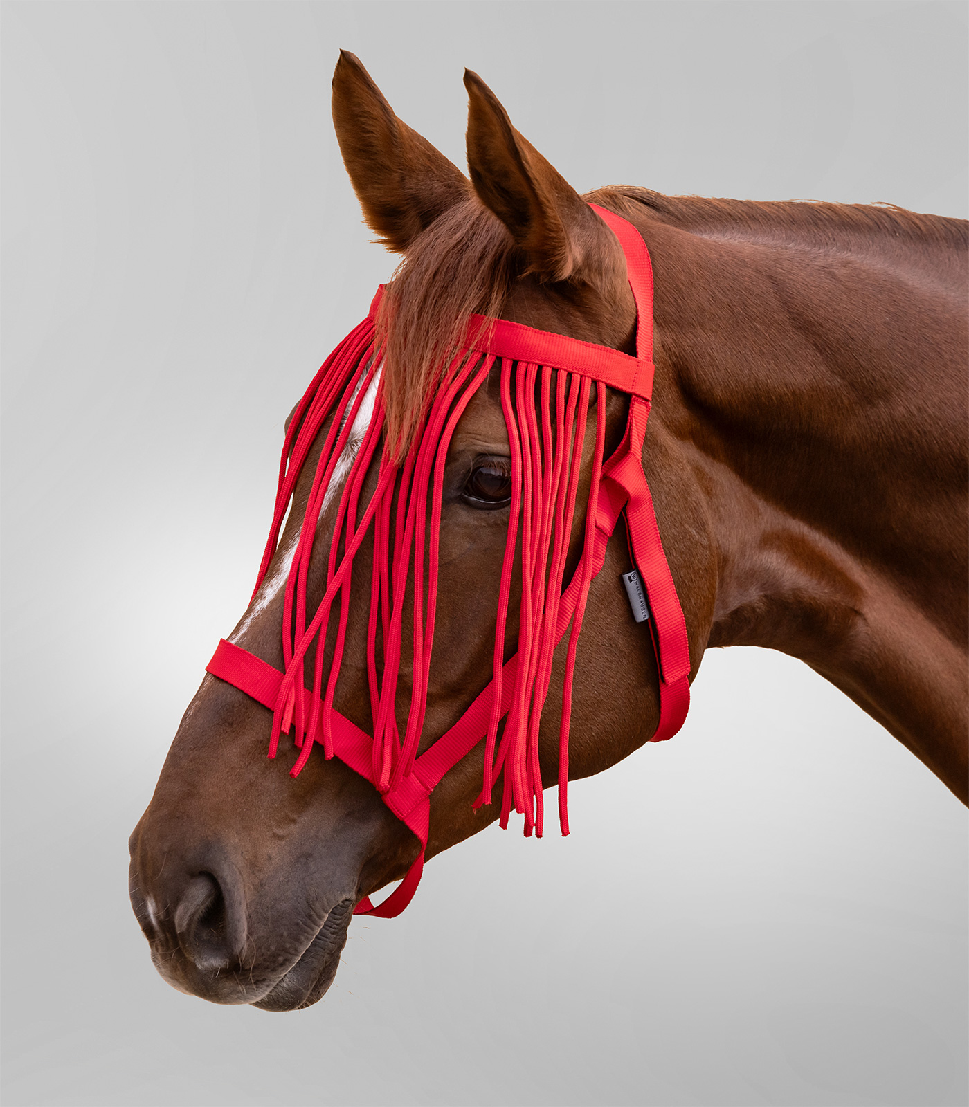 Waldhausen Cavezza da pascolo con frange anti-mosche, COB, rosso