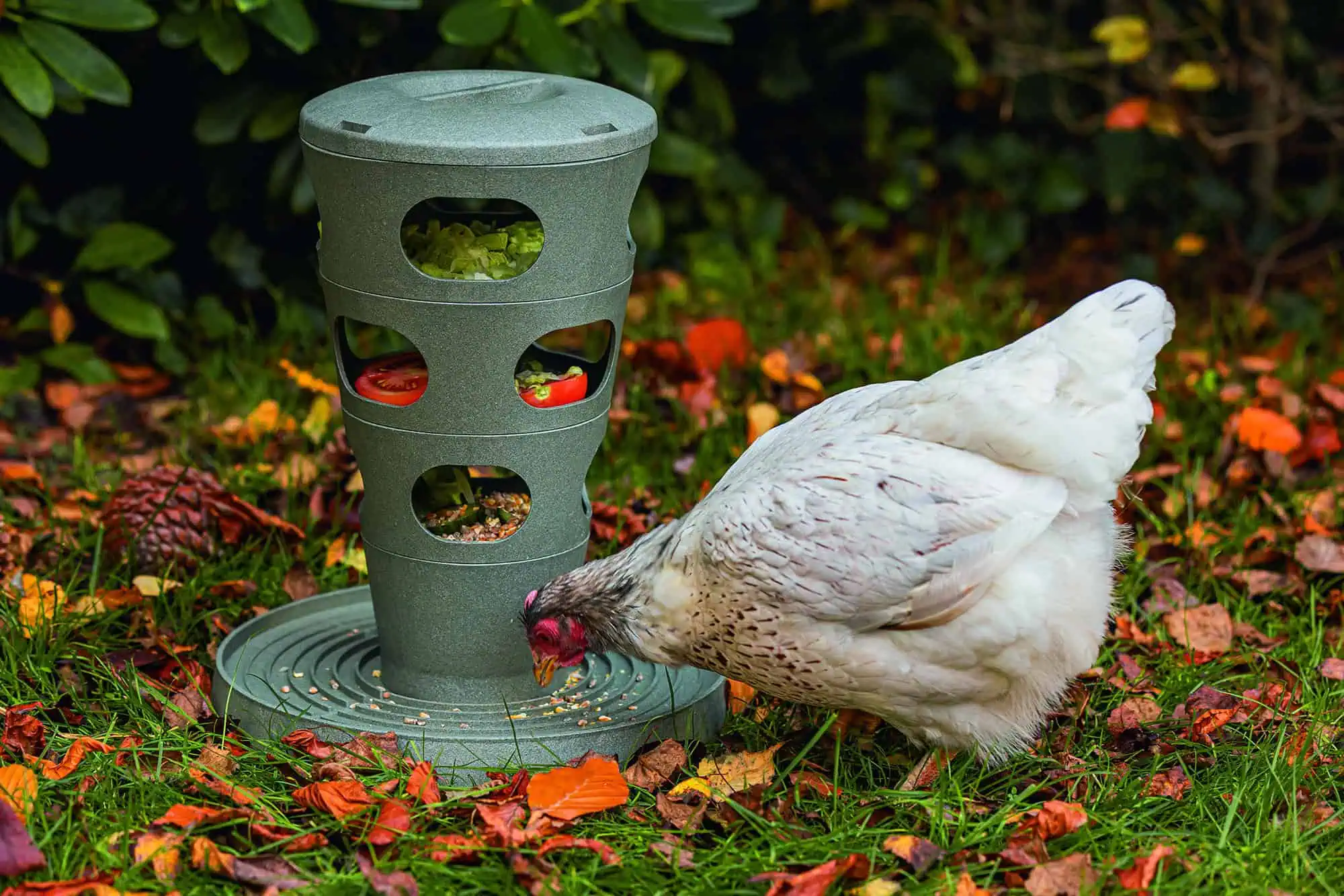 Beeztees Feed Tower Torre di alimentazione per polli