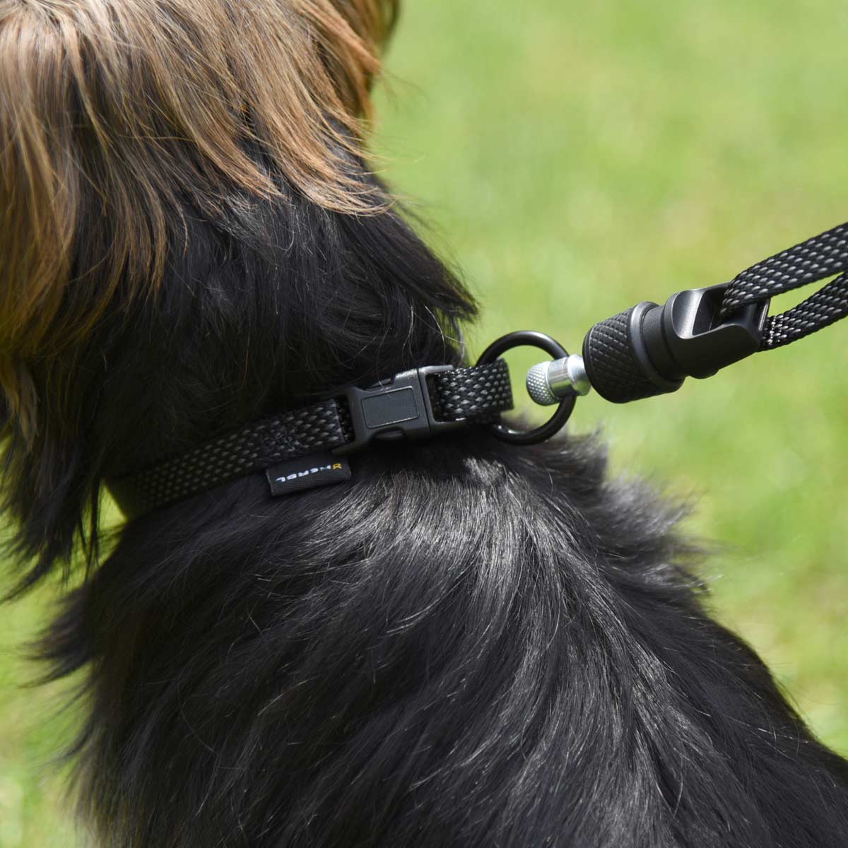GoLeyGo 2.0 Set di collari per cani al guinzaglio m - circonferenza del collo 40 - 65 cm marrone