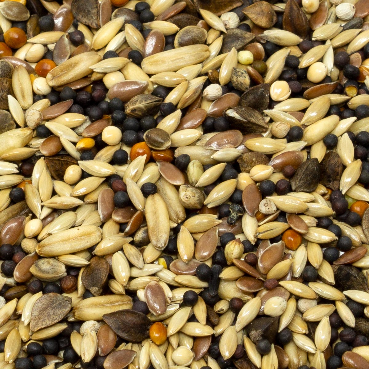 Leimüller Mangime a grana piccola per uccelli selvatici con semi e cereali 5 kg
