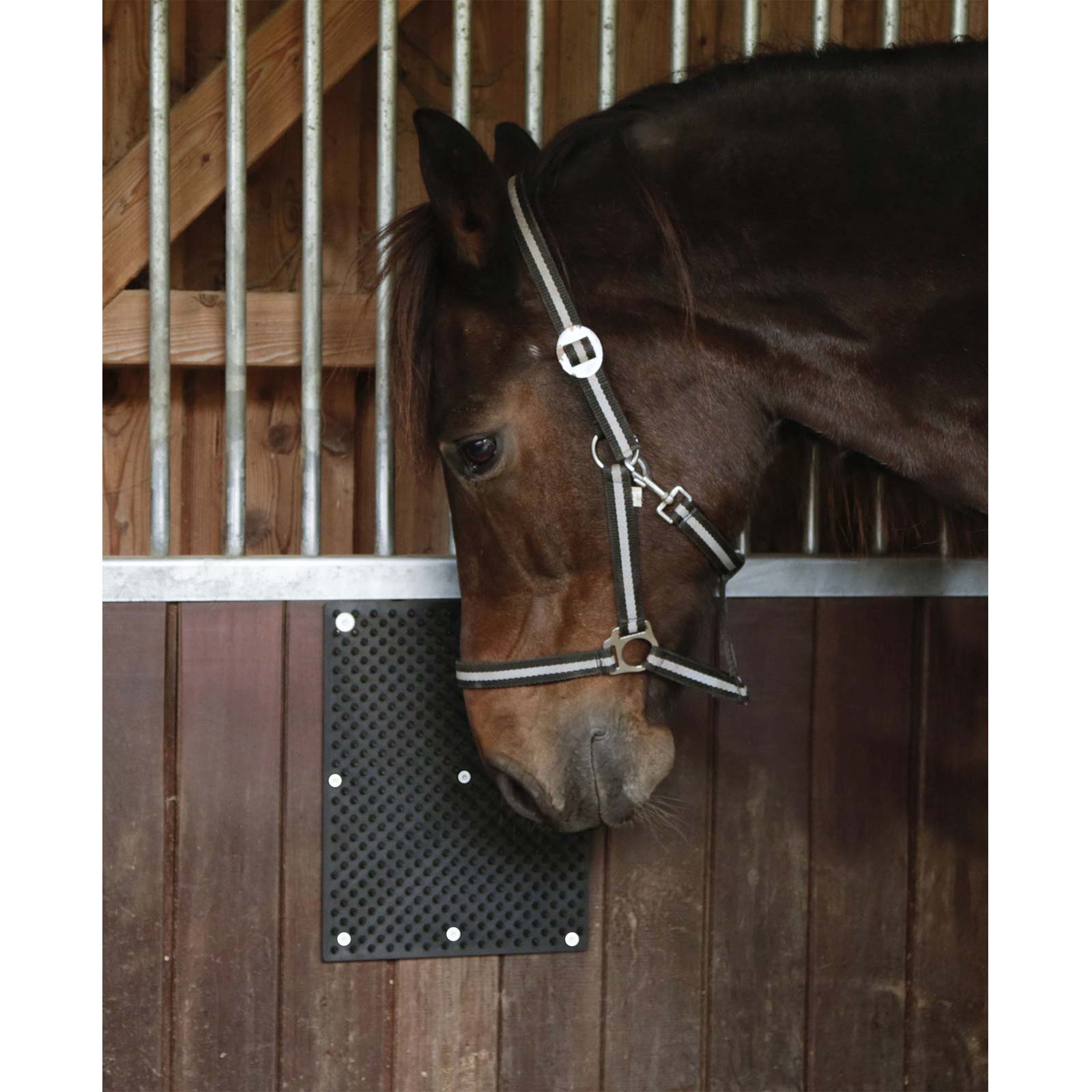 Tappetino tiragraffi in gomma naturale per cavalli e bovini 40 x 30 cm