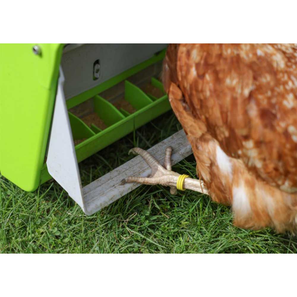 Mangiatoia automatica per galline SmartCoop 7,5 kg