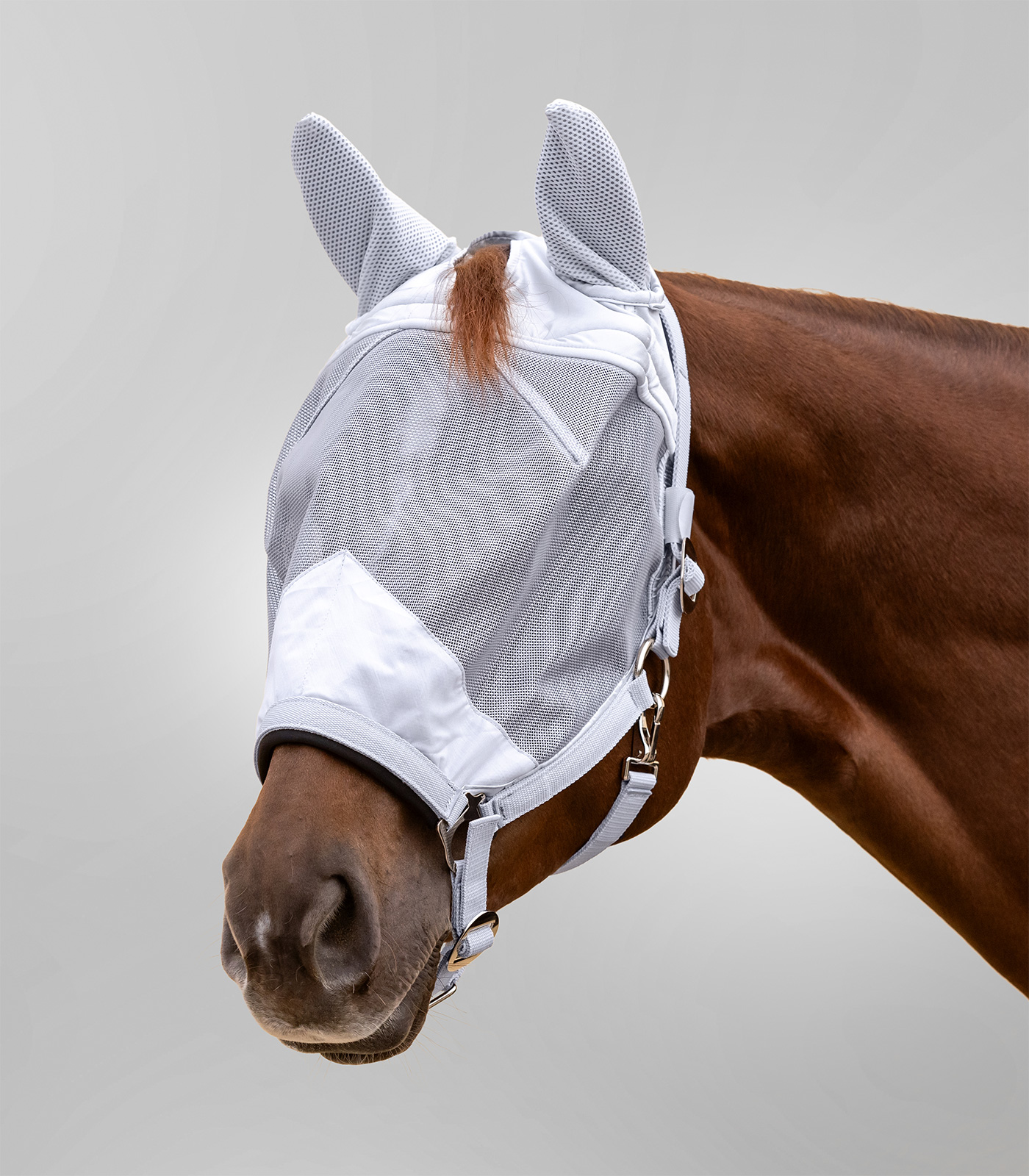 Maschera Antimosche Per Cavalli Pfiff - Protezione Da Insetti, Lavabile, 100% Poliestere E Cotone - Foto 8