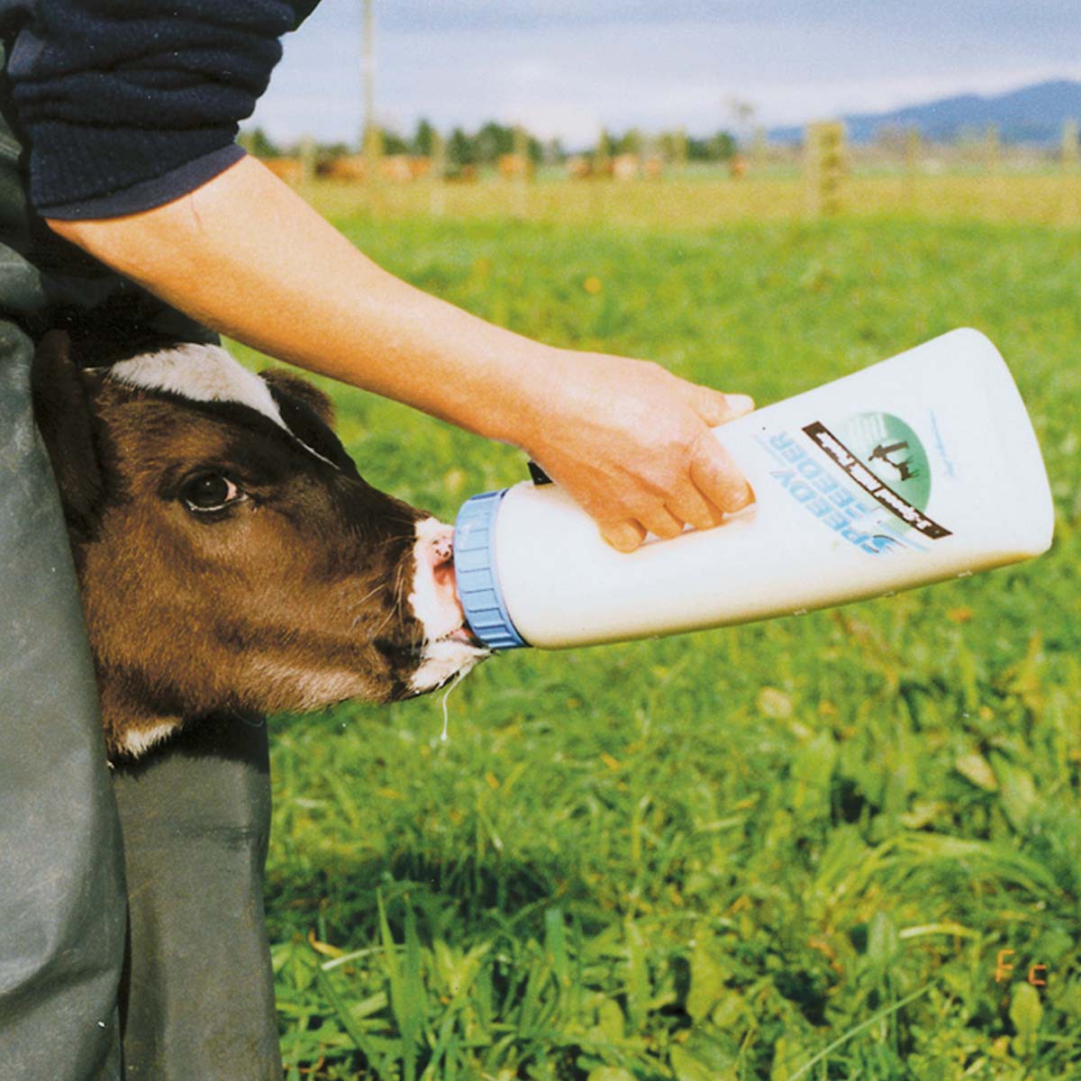 Bottiglia allattamento vitelli SPEEDY FEEDER 2.5 l