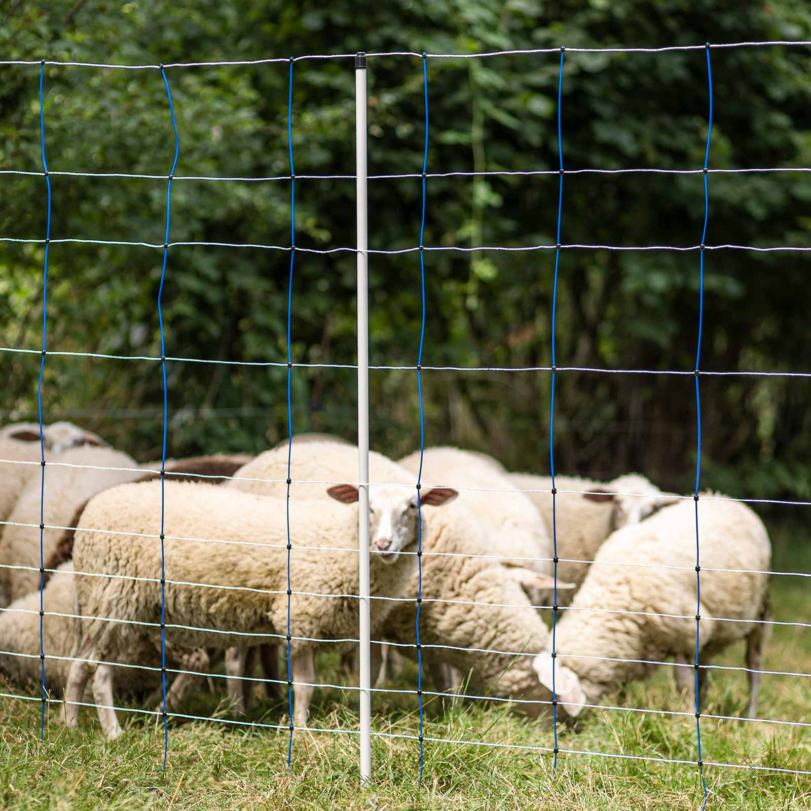 Ako TitanNet Rete per pecore elettrificabile 145 cm x 25 m, bianco/blu, doppia punta