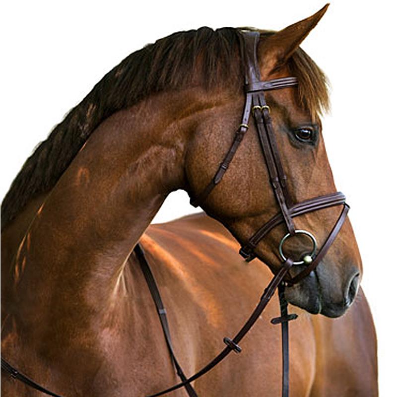 Kerbl Briglia con chiudibocca Classic in pelle Pony