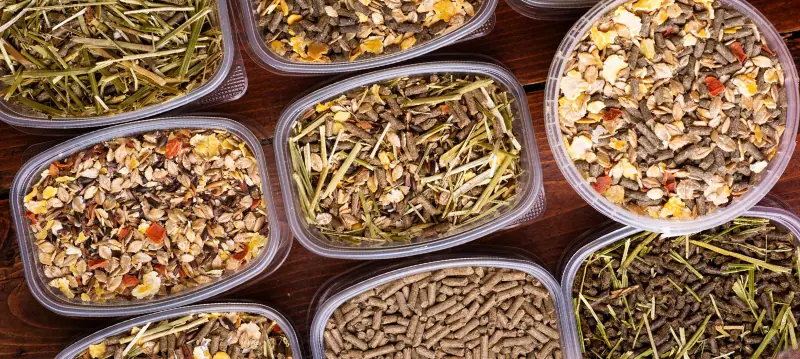 Mangimi per cavalli Mangimi per cavalli