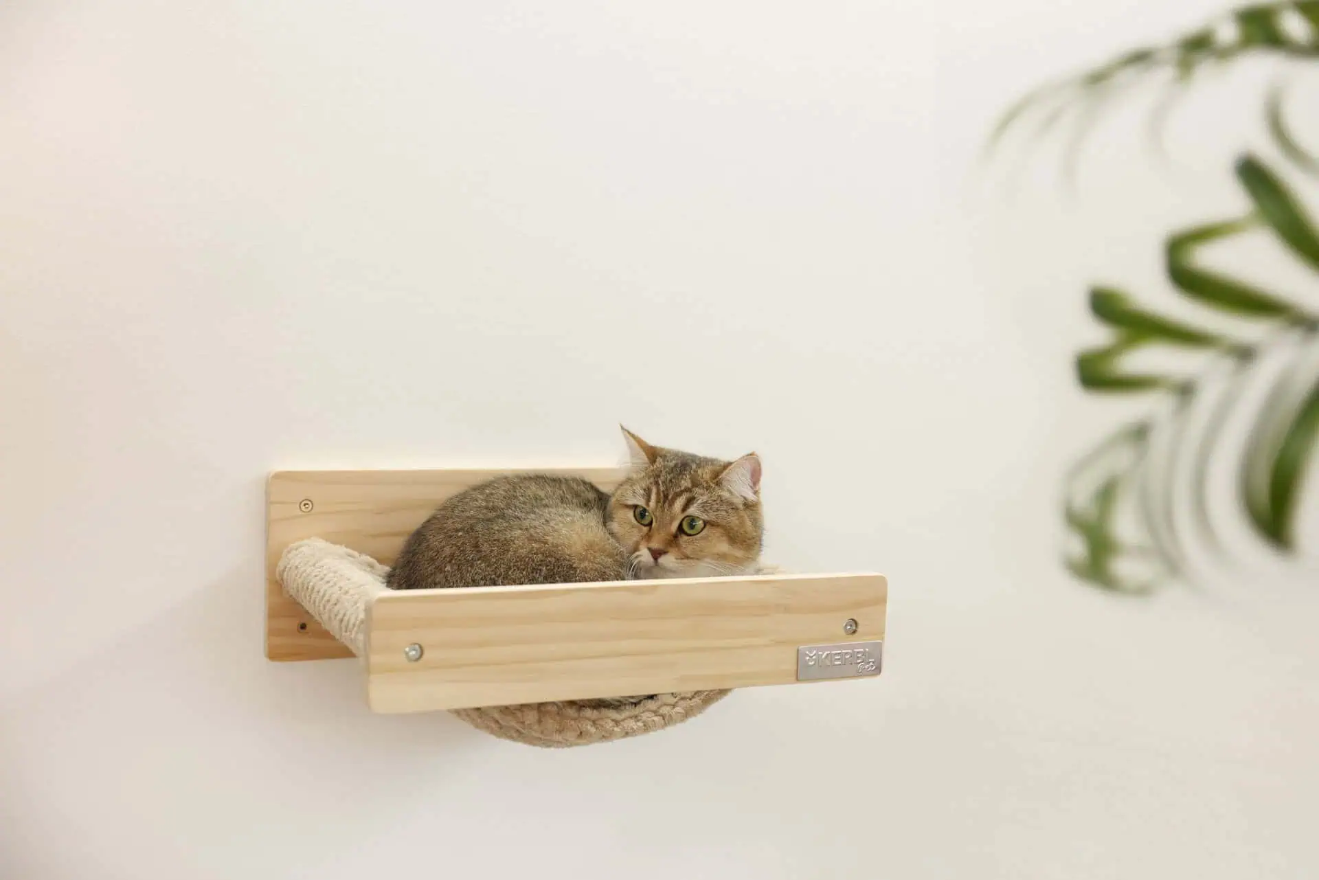 Amaca per gatti Timber in legno