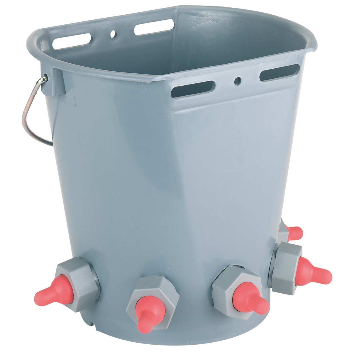 Secchio allattamento agnelli con 5 tettarelle 8 litri Secchio allattamento agnelli con 5 tettarelle 8 litri